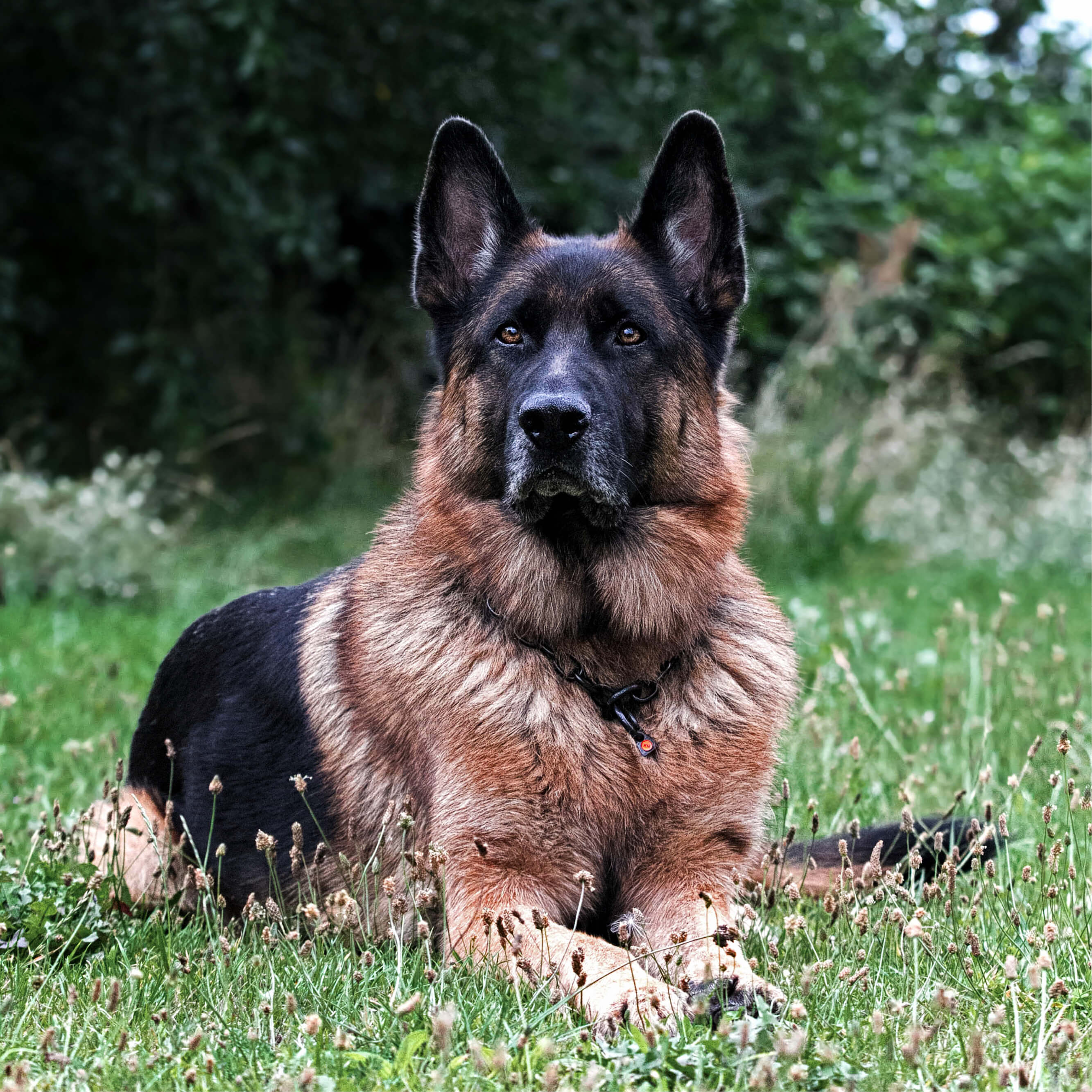 Ausbildung | Kategorie_Ausbildung.jpg