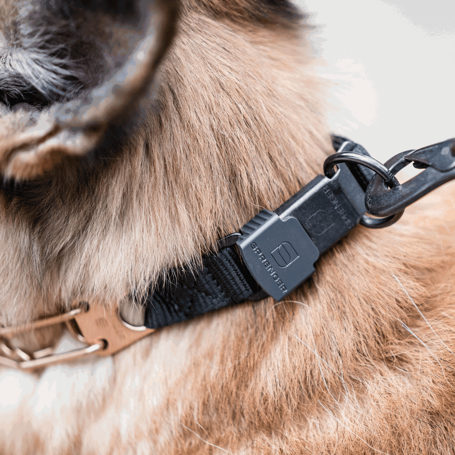 ULTRA-PLUS Dressurhalskette mit Centerplatte und ClicLock - CUROGAN | 50007_67-5.png | 1742809745