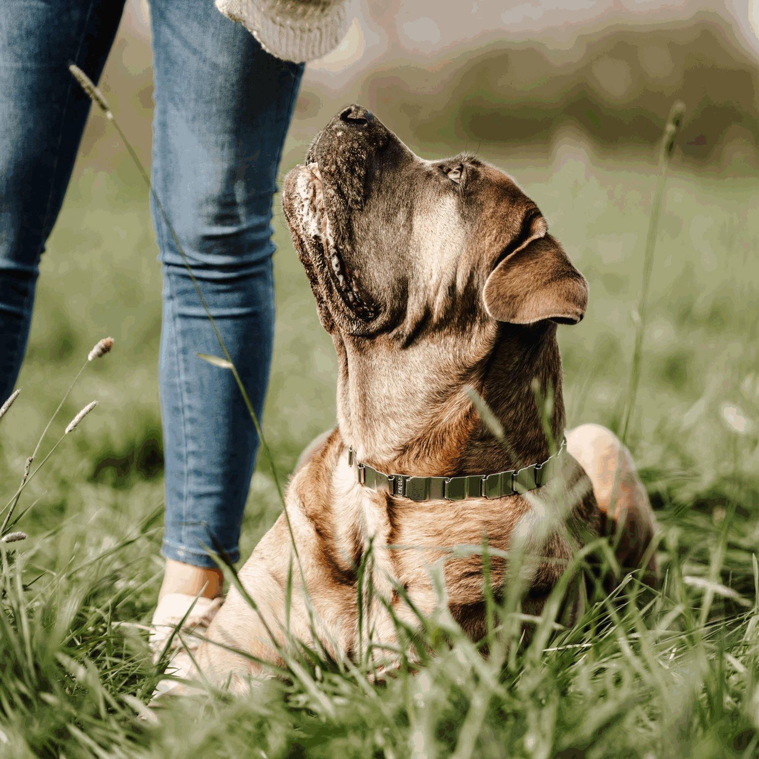 NeckTech Sport mit ClicLock - Edelstahl Rostfrei | 50051_55-7.png | 1742335128