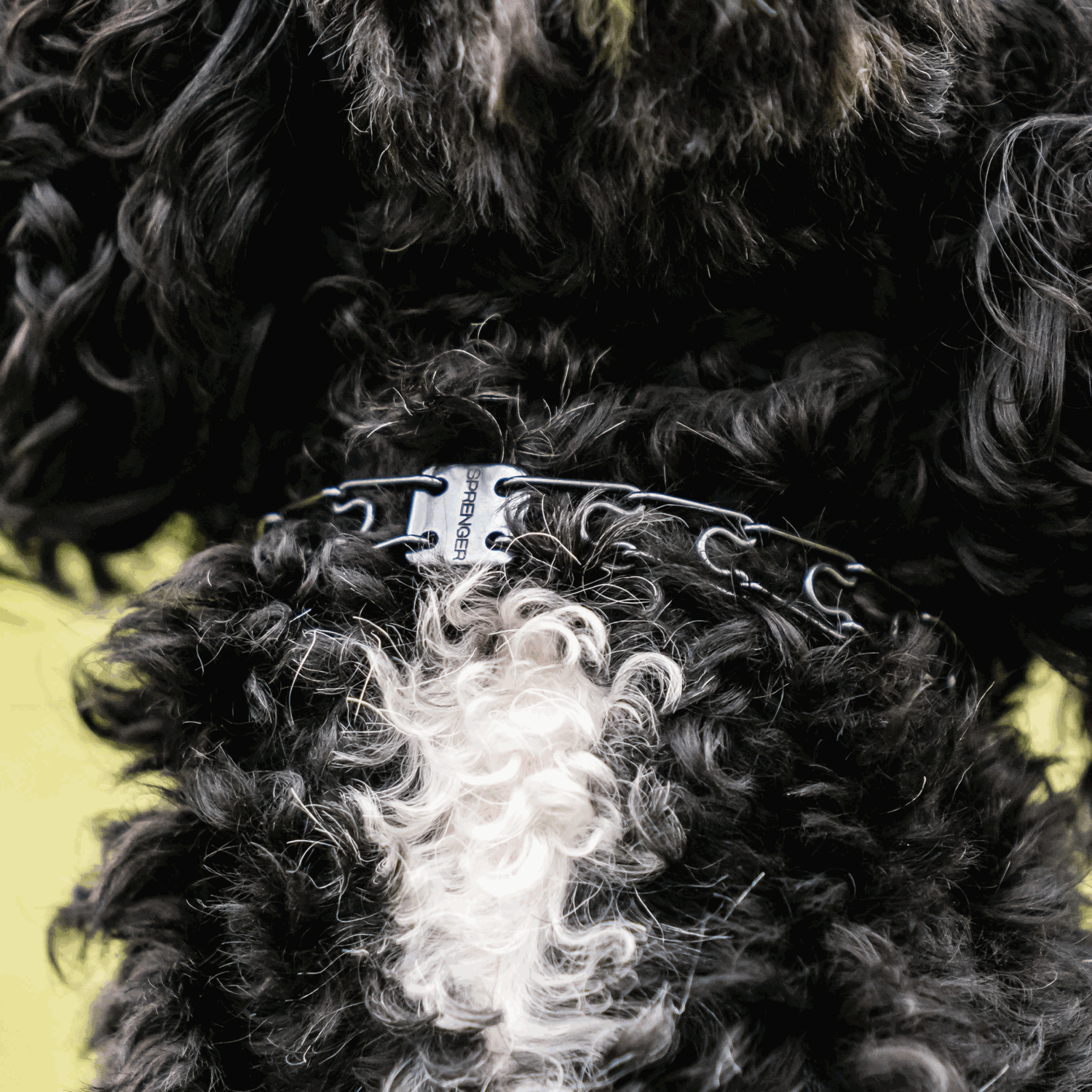 MICRO-PLUS Dressurhalskette mit Centerplatte und Durchzugskette - Edelstahl Rostfrei schwarz, 1,5 mm, 32 cm