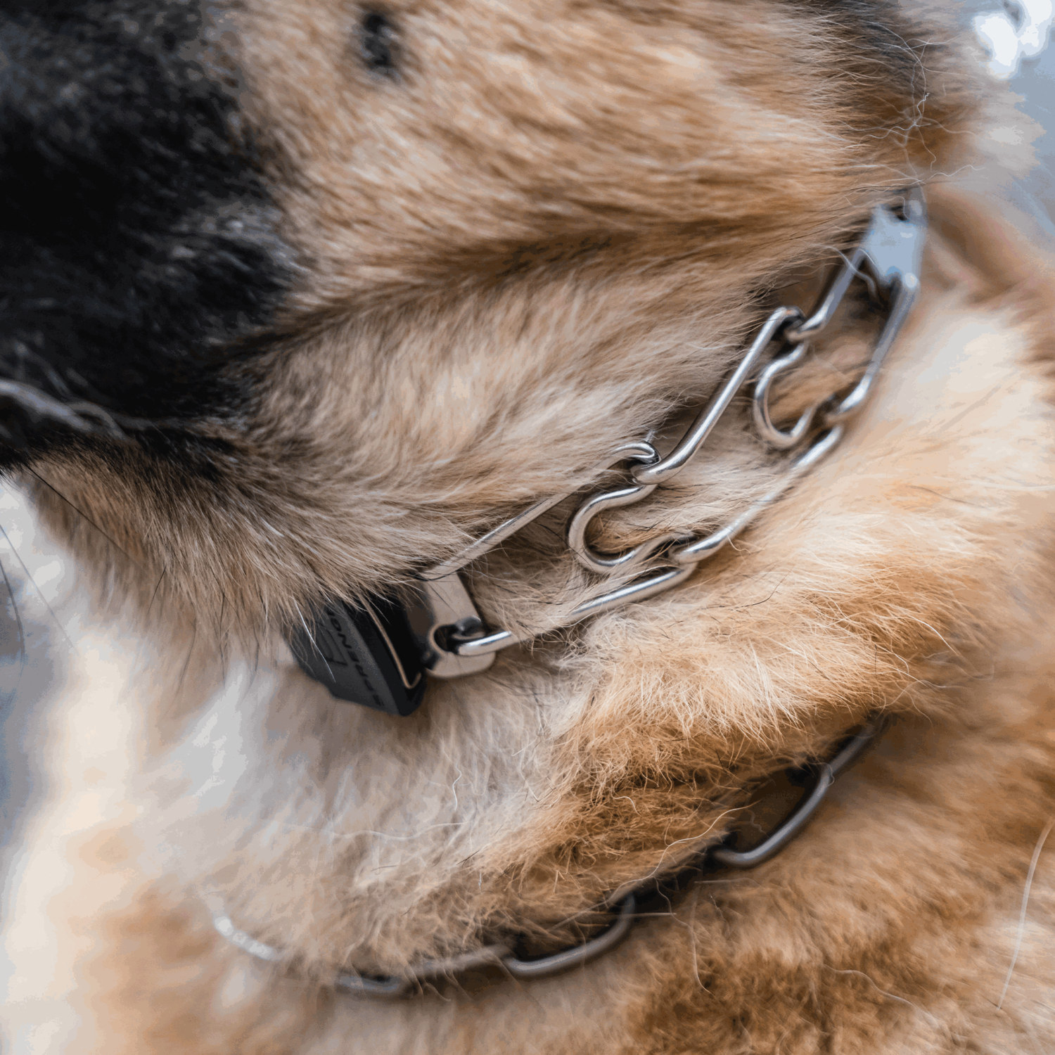 ULTRA-PLUS Dressurhalskette mit Durchzugskette und ClicLock - Edelstahl Rostfrei schwarz