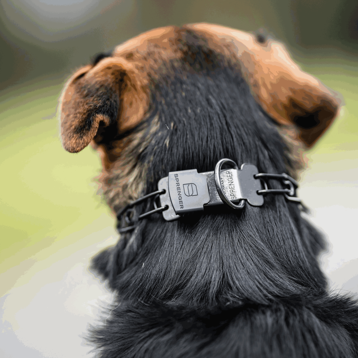 ULTRA-PLUS Dressurhalskette mit Centerplatte und ClicLock - Edelstahl Rostfrei schwarz | 50108_57_2.png | 1742331981