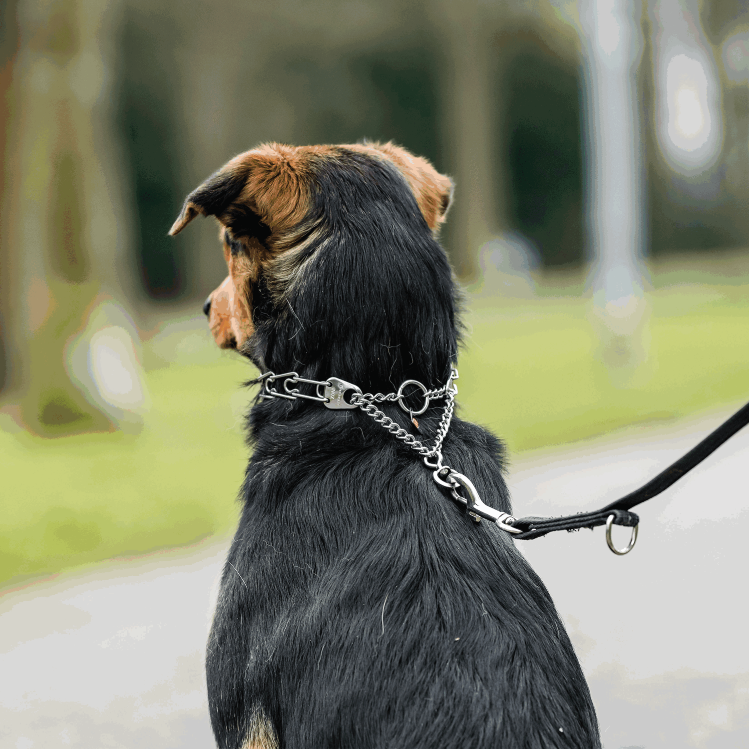 ULTRA-PLUS Dressurhalskette mit Durchzugskette und ClicLock - Edelstahl Rostfrei schwarz