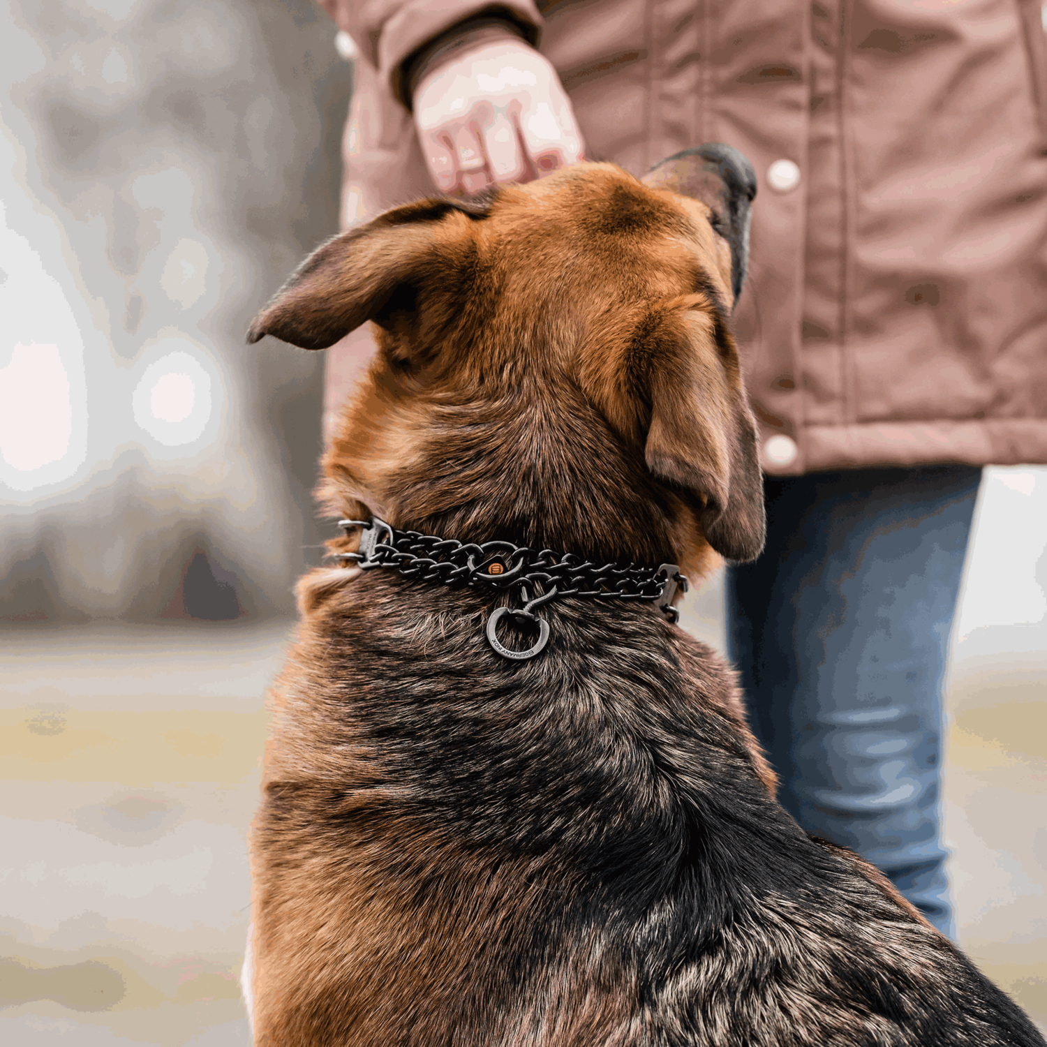 ULTRA-PLUS Dressurhalskette mit Durchzugskette und ClicLock - Edelstahl Rostfrei schwarz