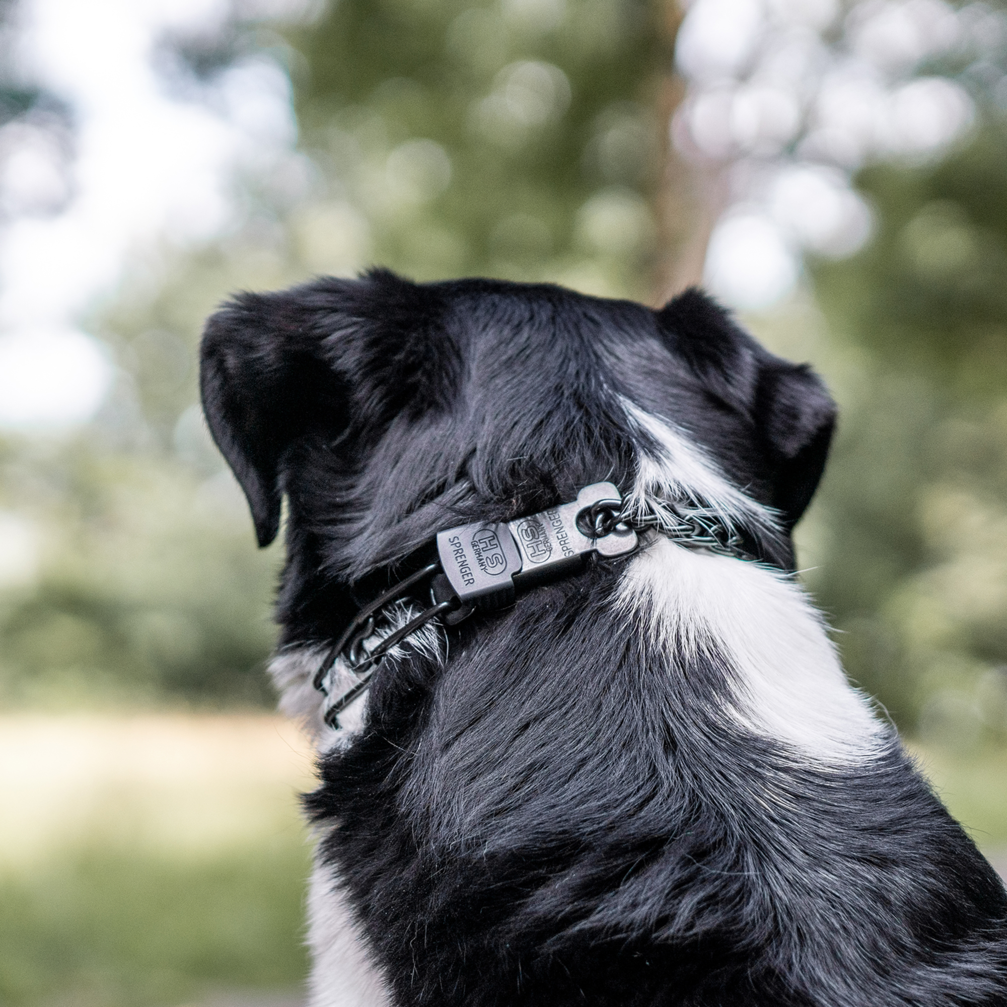 ULTRA-PLUS Dressurhalskette mit Centerplatte, Durchzugskette und ClicLock - Edelstahl Rostfrei schwarz