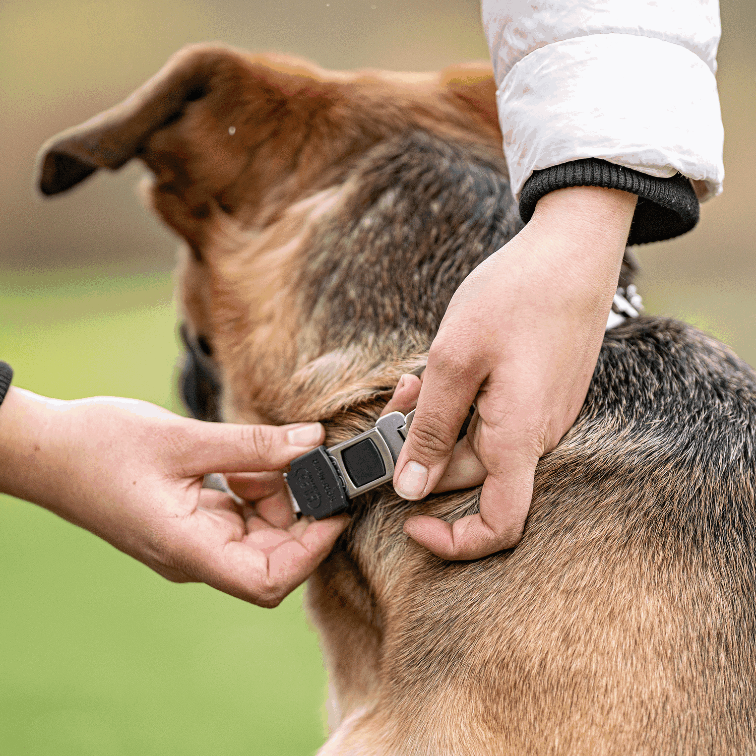 NeckTech Fun mit Durchzugskette und ClicLock - Edelstahl Rostfrei | 50166_55-16.png | 1700898338