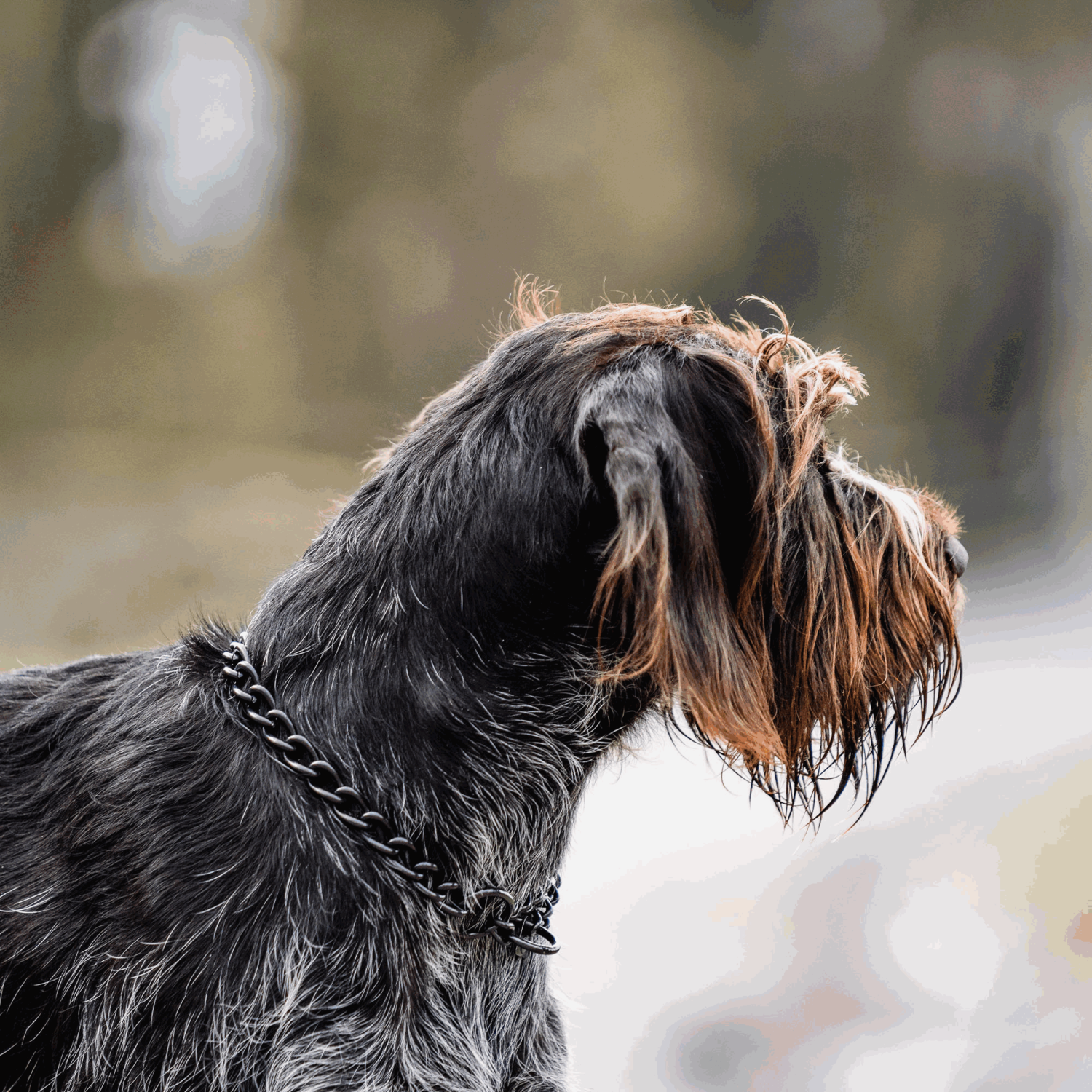 Halskette, runde Glieder - Edelstahl Rostfrei schwarz, 4,0 mm