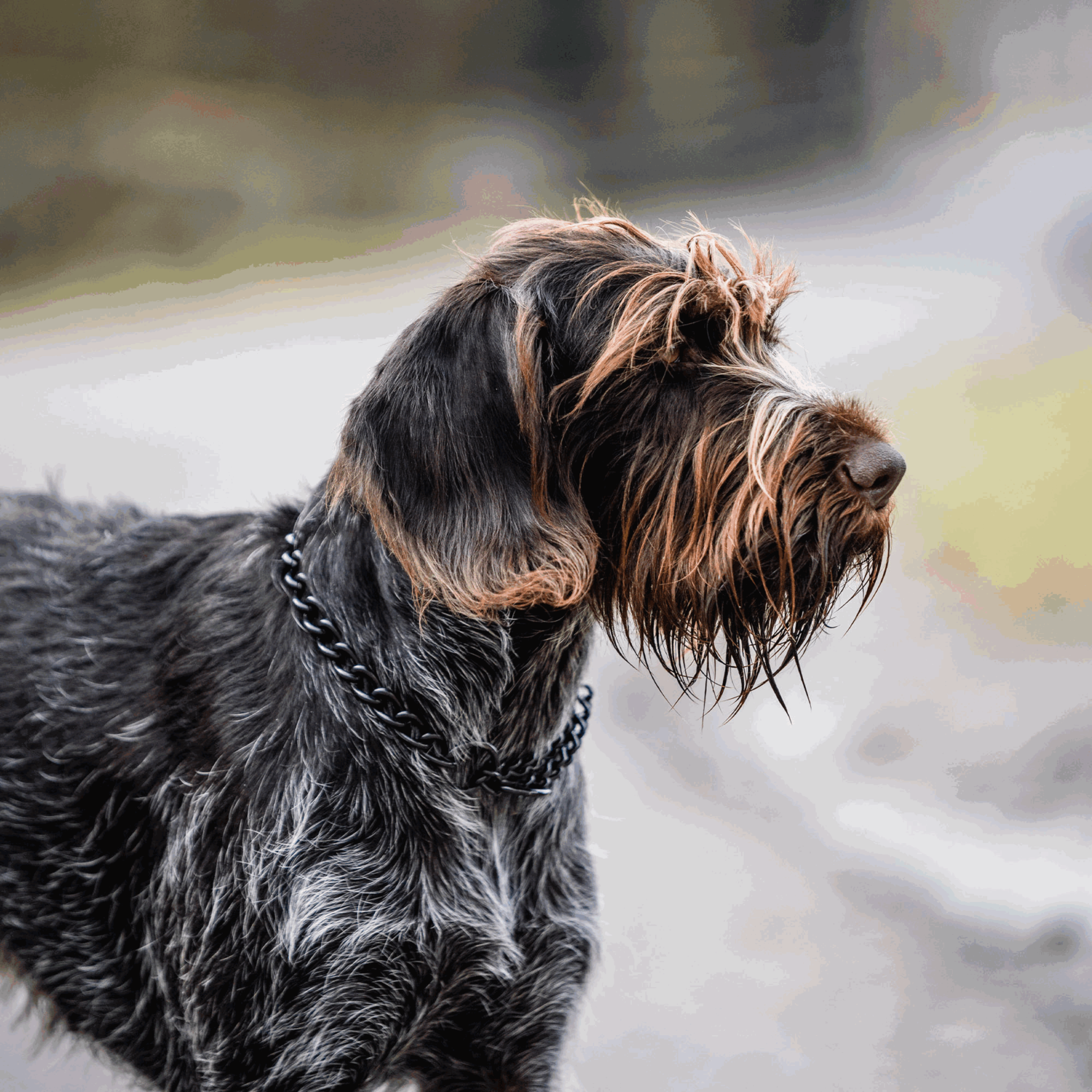 Halskette, runde Glieder - Edelstahl Rostfrei schwarz, 4,0 mm