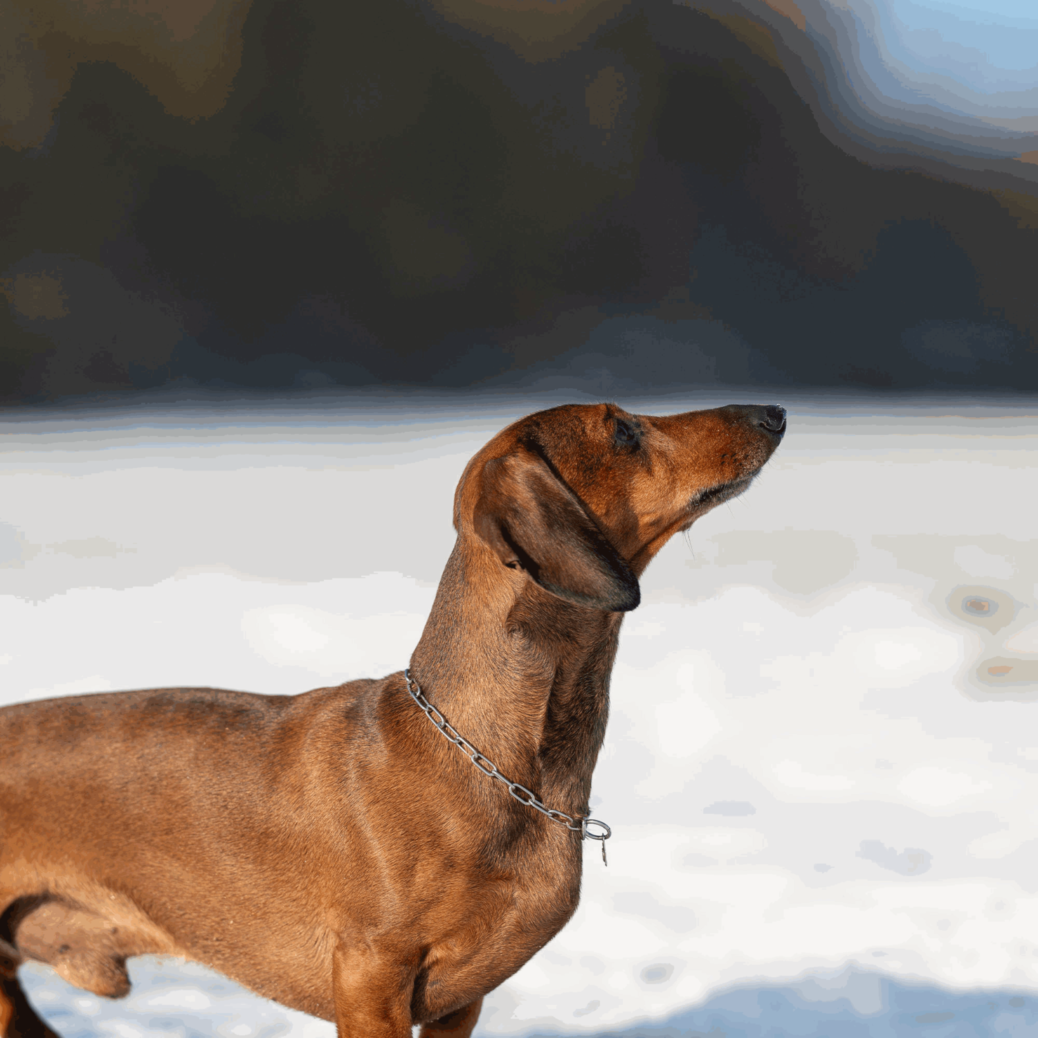 Halskette - Edelstahl Rostfrei, 2,0 mm