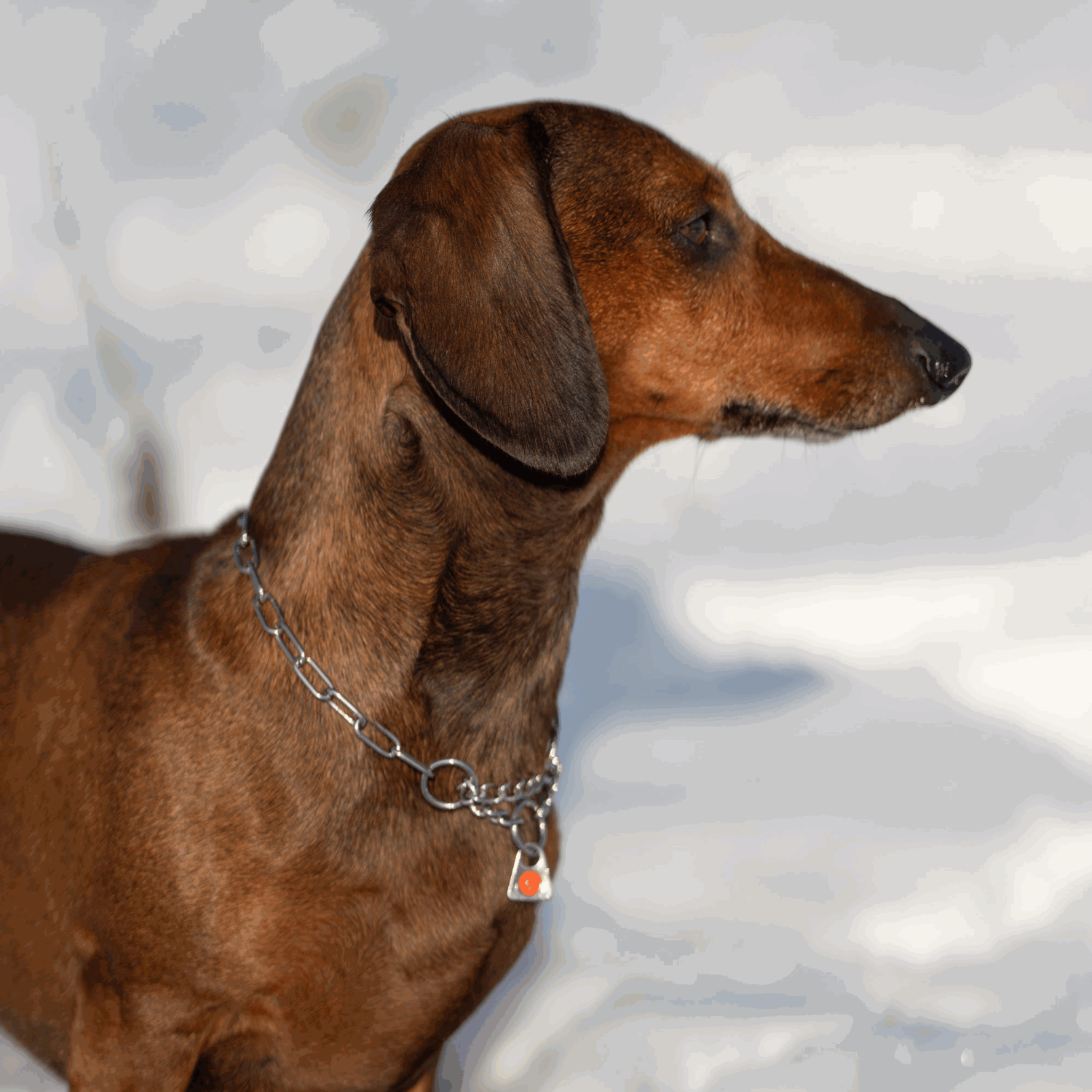 Halskette - Edelstahl Rostfrei, 2,0 mm