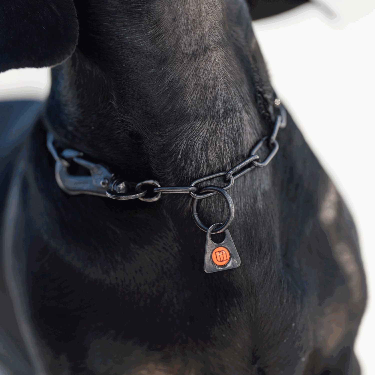 Halskette, verstellbar - mit SPRENGER-Haken - Edelstahl Rostfrei schwarz, 2,0 mm