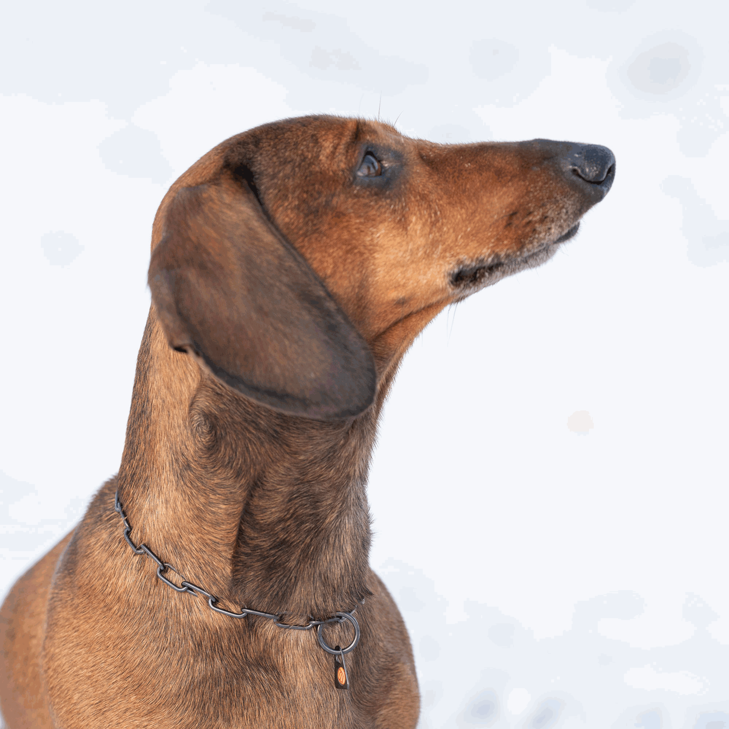 Halskette, verstellbar - mit SPRENGER-Haken - Edelstahl Rostfrei schwarz, 2,0 mm