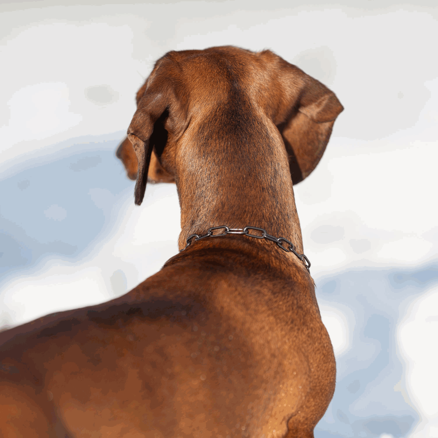 Halskette - Edelstahl Rostfrei schwarz, 2,0 mm