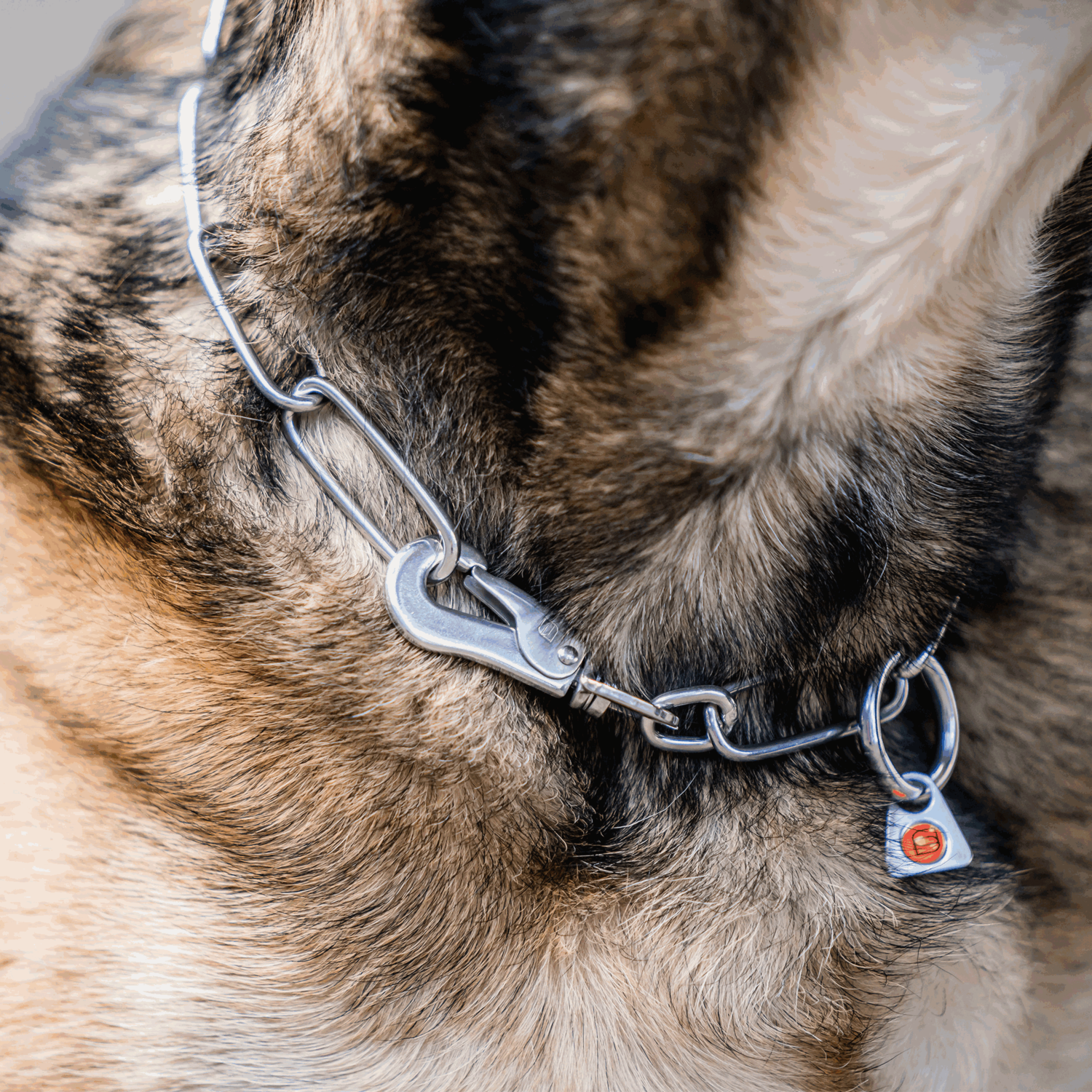 Halskette, langgliedrig, verstellbar - mit SPRENGER-Haken - Edelstahl Rostfrei, 3,0 mm