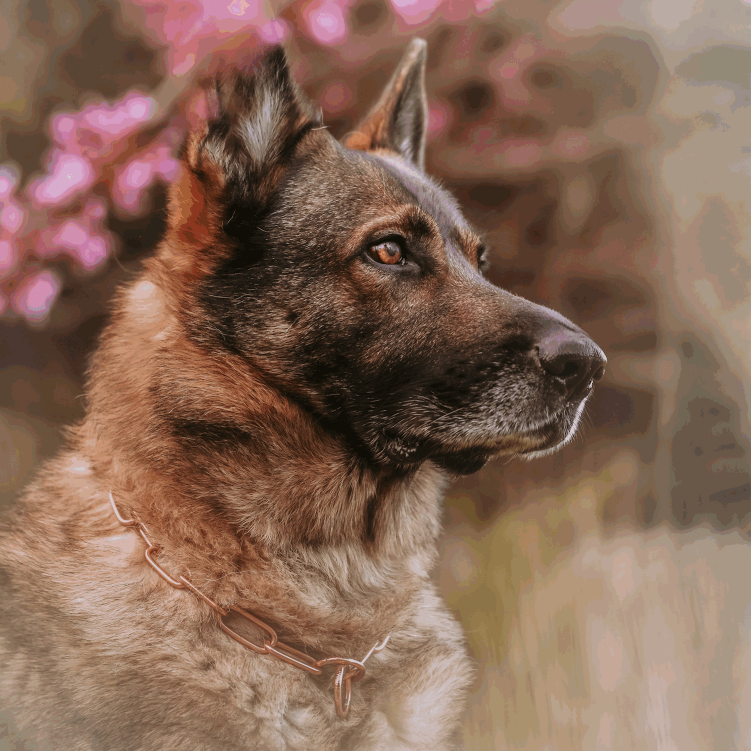 Halskette, langgliedrig - CUROGAN, 3,0 mm