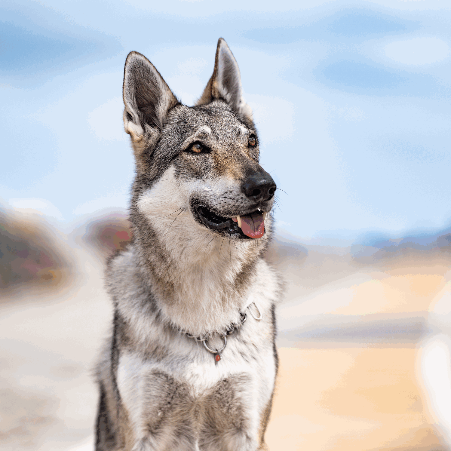 Halskette, verstellbar - mit SPRENGER-Haken - Edelstahl Rostfrei, 3,0 mm