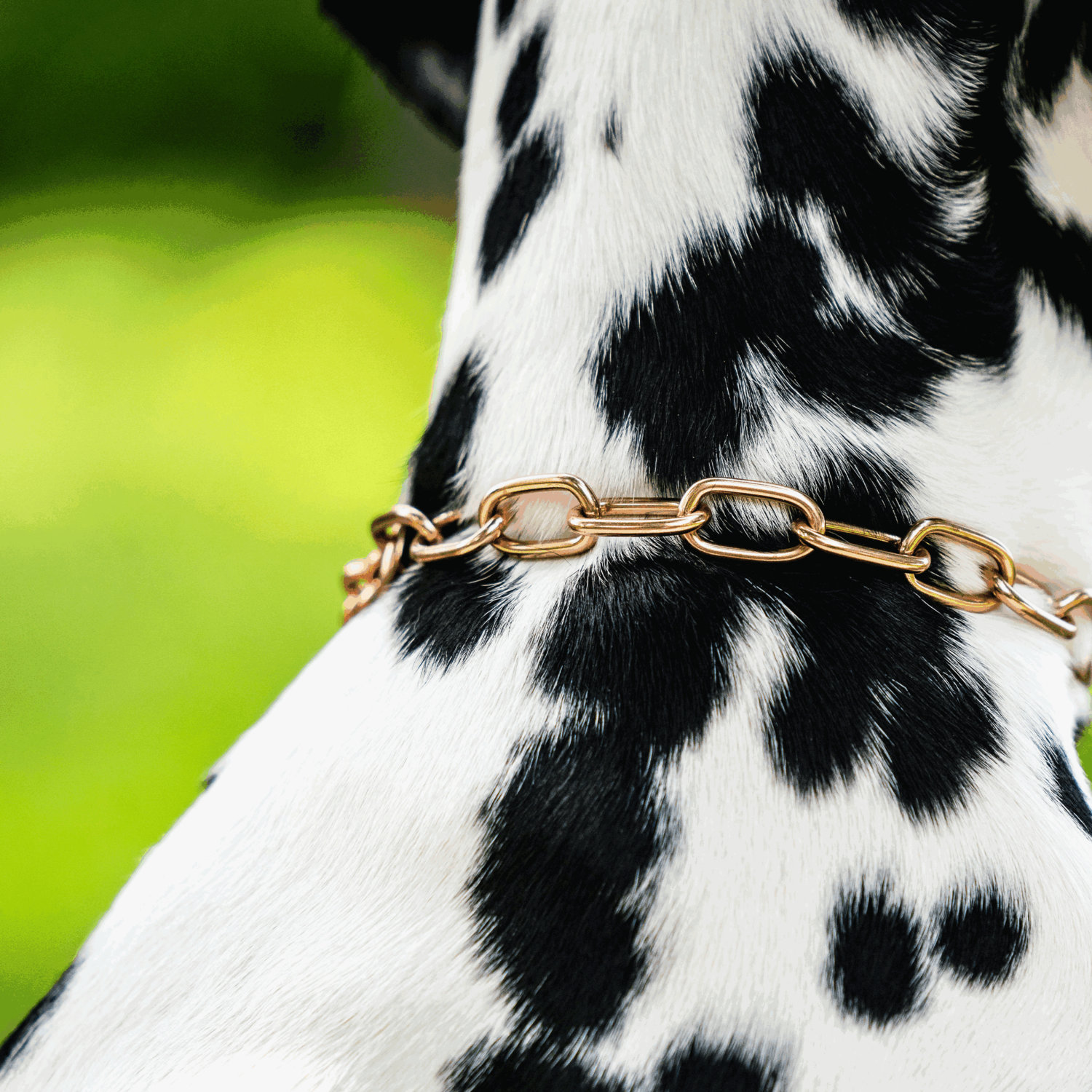 Halskette, medium - CUROGAN, 3,0 mm