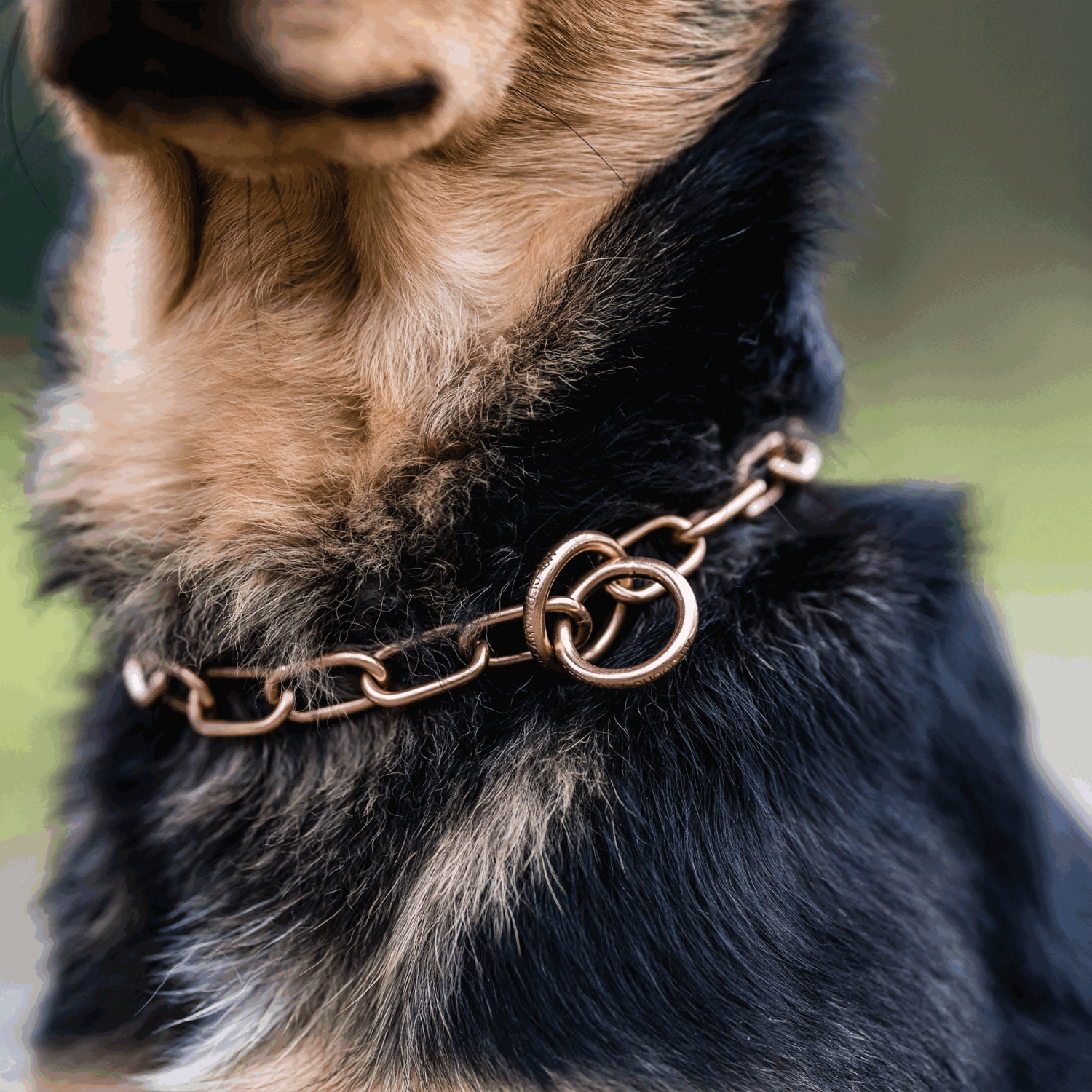 Halskette, medium - CUROGAN, 3,0 mm