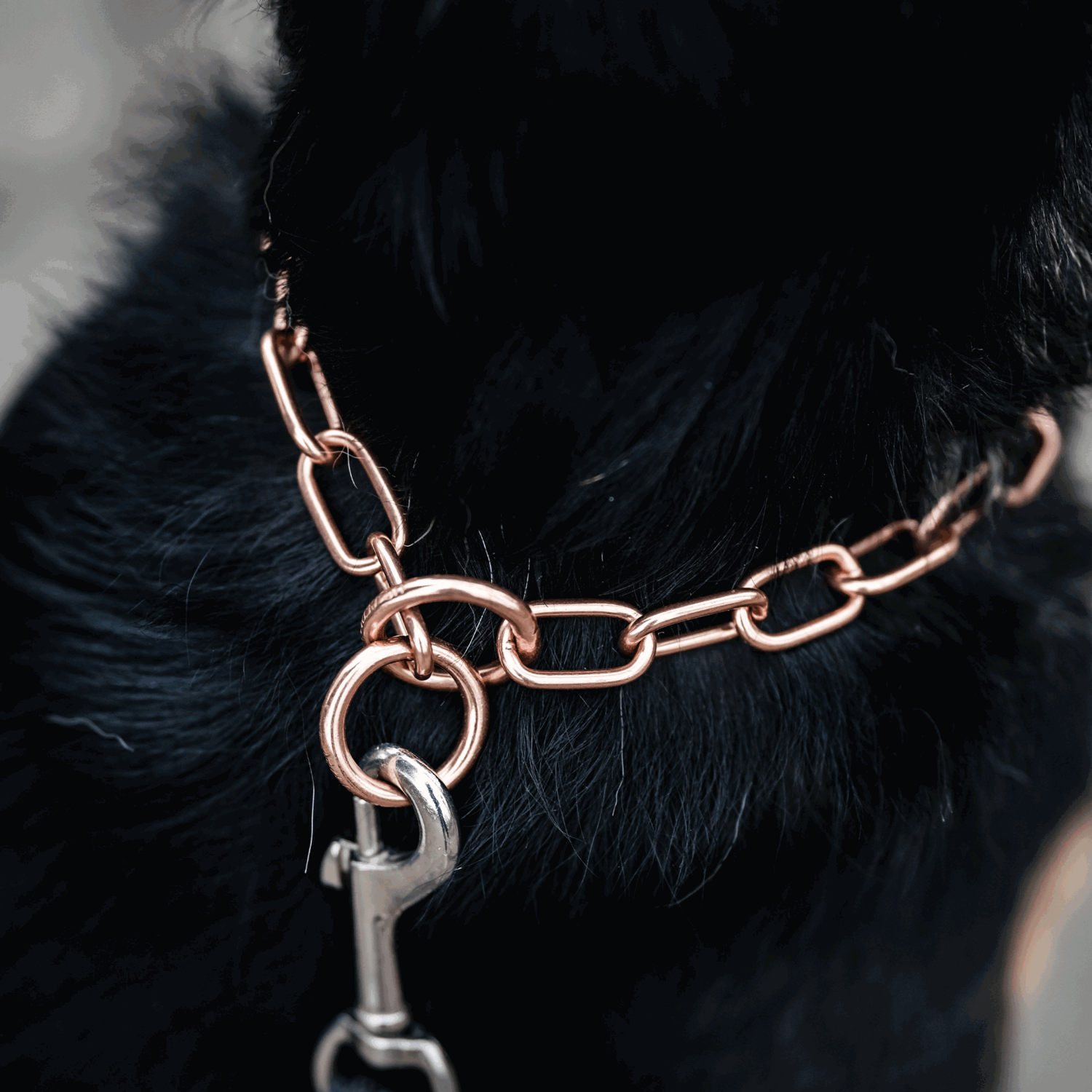 Halskette, medium - CUROGAN, 3,0 mm