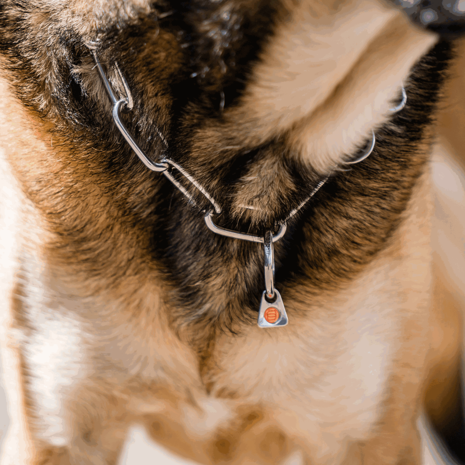 Halskette, langgliedrig, verstellbar - mit SPRENGER-Haken - Edelstahl Rostfrei, 4,0 mm