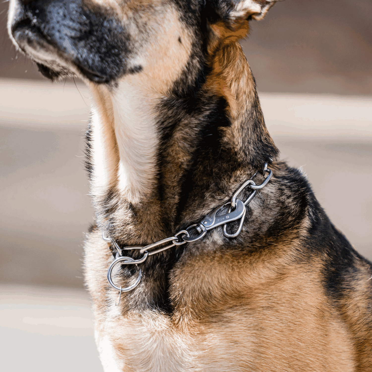 Halskette, langgliedrig, verstellbar - mit SPRENGER-Haken - Edelstahl Rostfrei, 4,0 mm