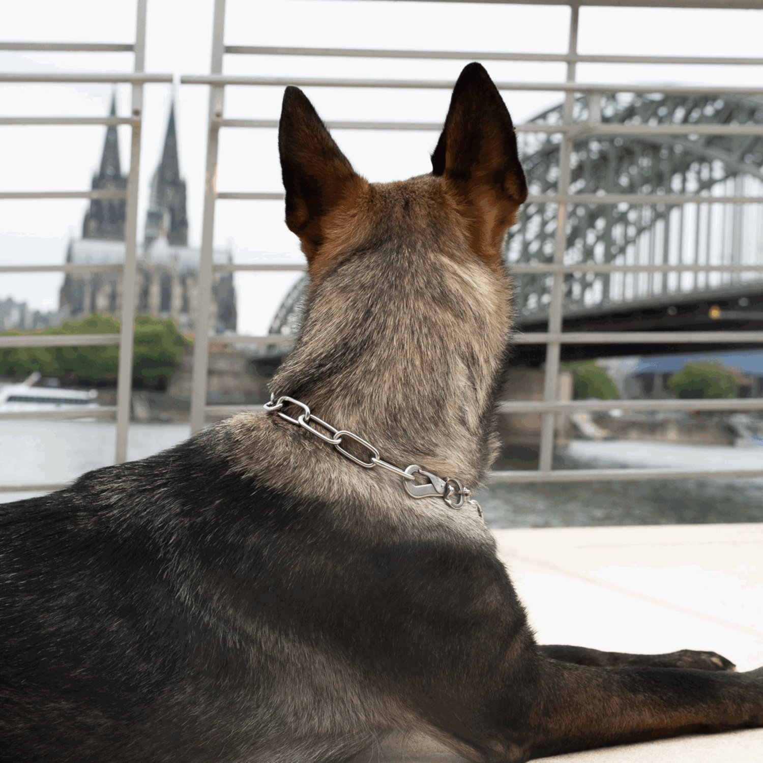 Halskette, langgliedrig, verstellbar - mit SPRENGER-Haken - Edelstahl Rostfrei, 4,0 mm