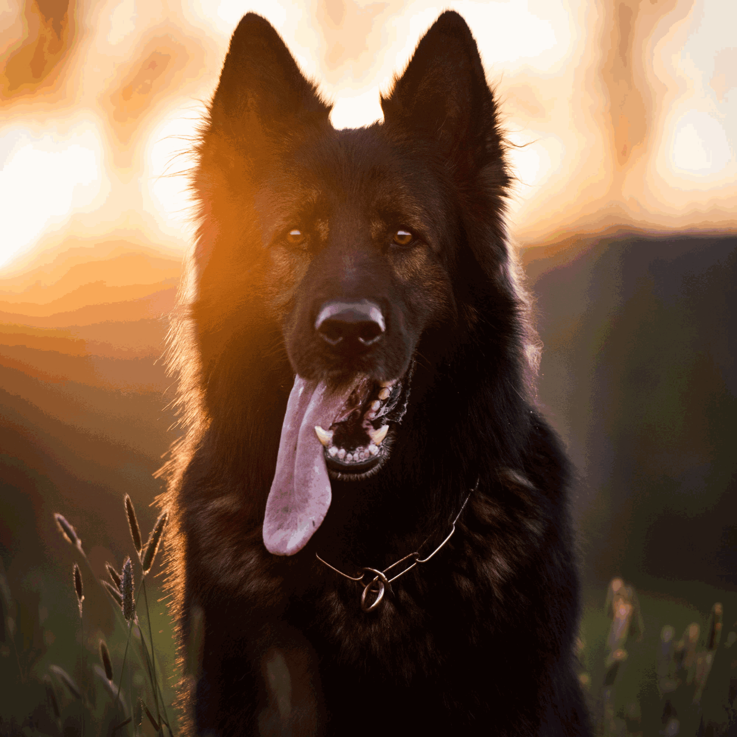 Halskette, langgliedrig - CUROGAN, 4,0 mm