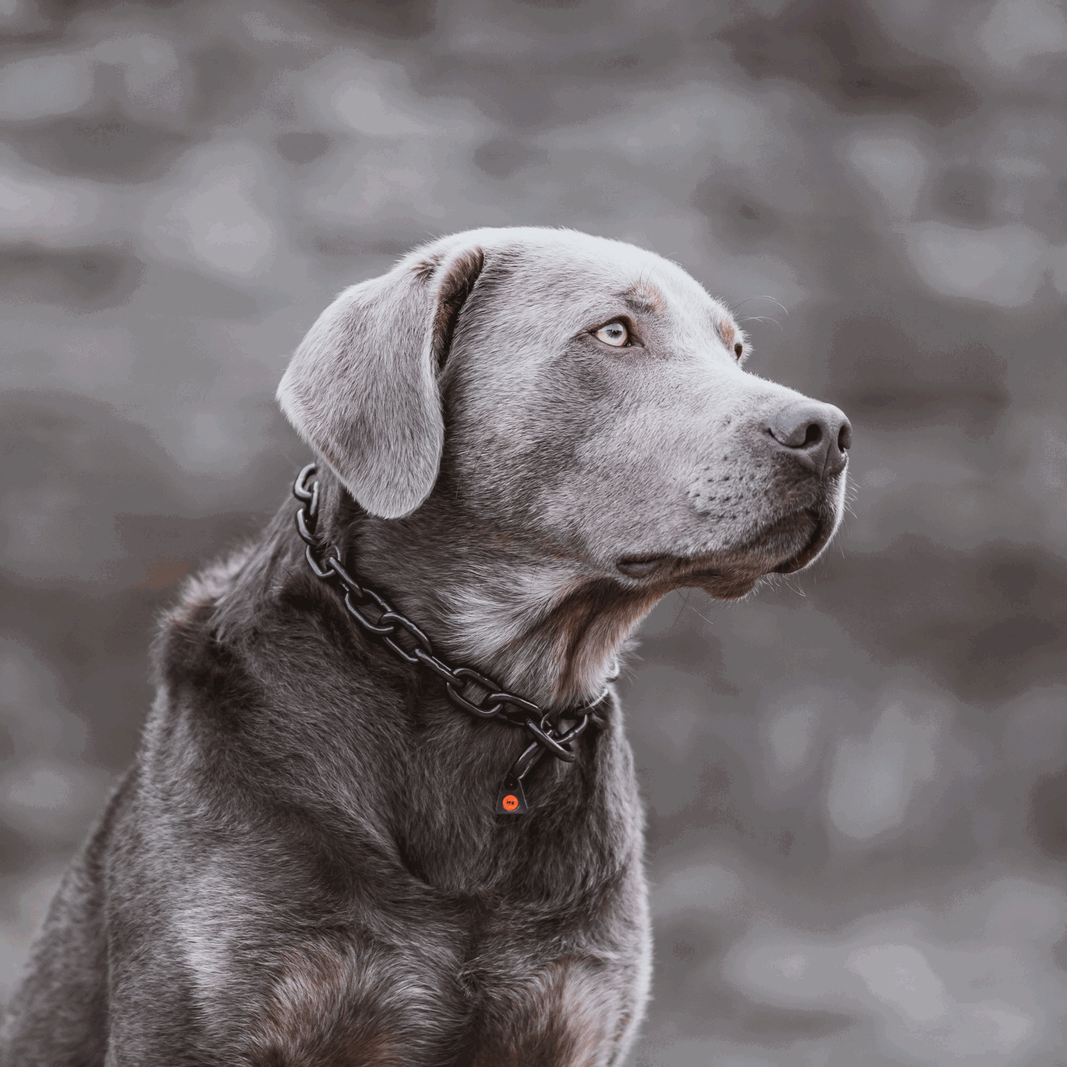 Halskette, stark - Edelstahl Rostfrei schwarz, 4,0 mm