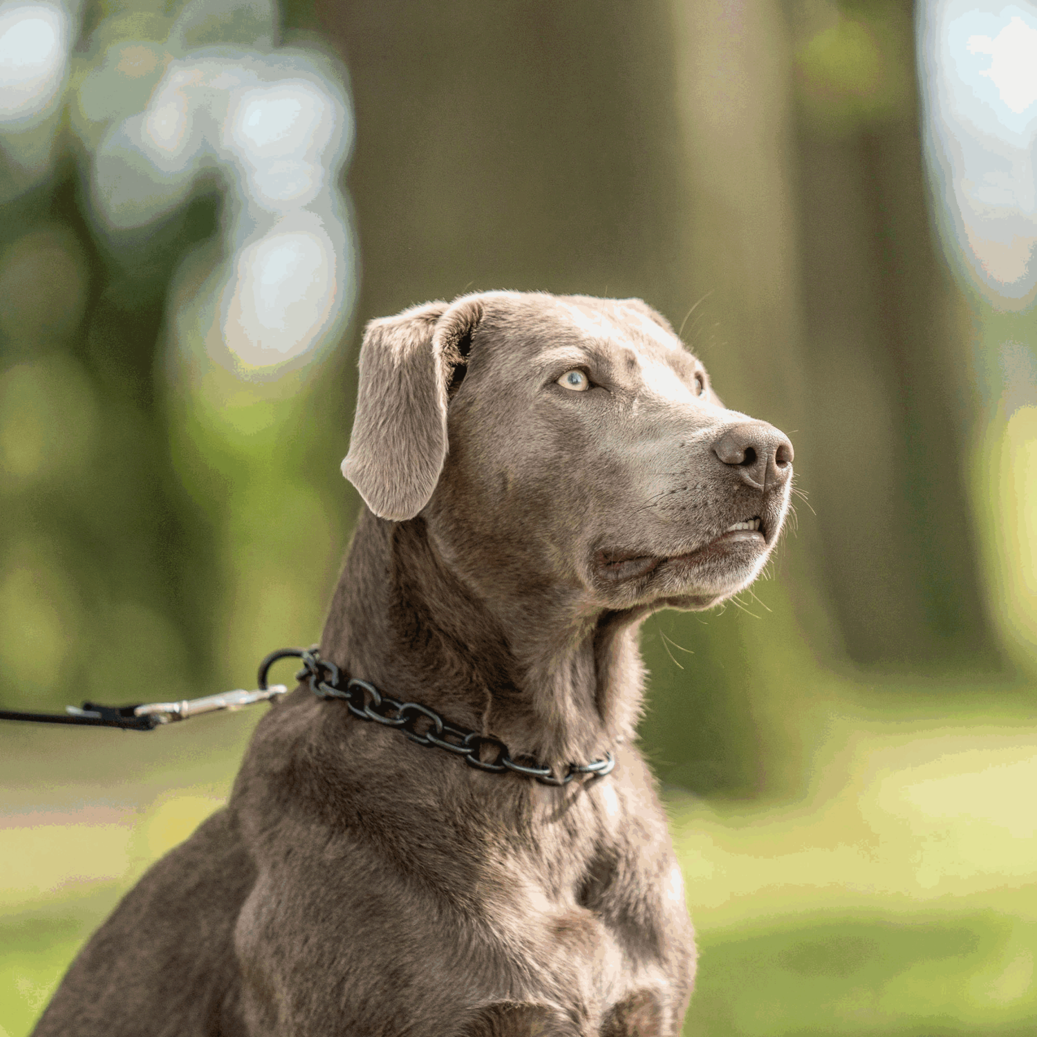 Halskette, stark - Edelstahl Rostfrei schwarz, 4,0 mm