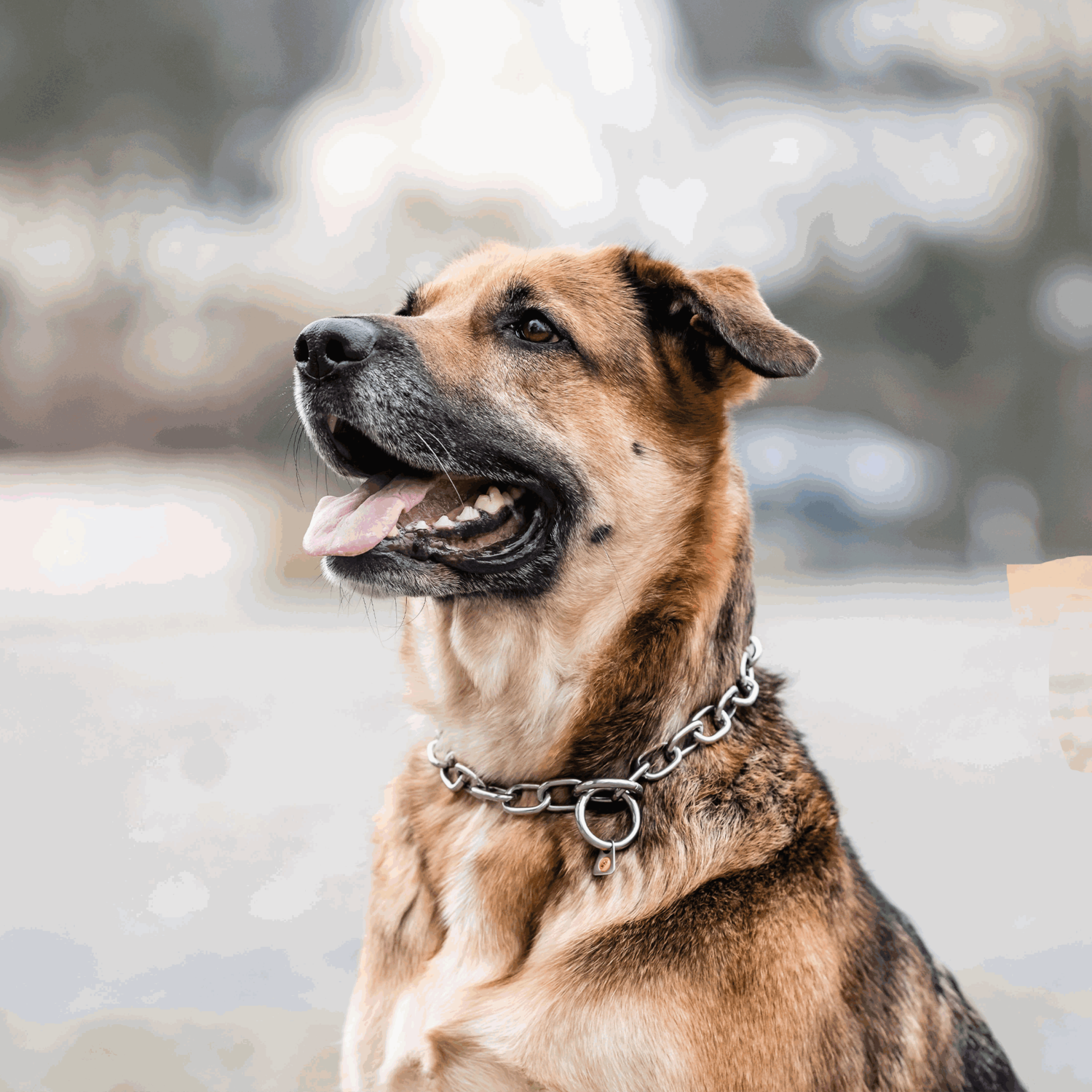 Halskette, stark - Edelstahl Rostfrei, 4,0 mm