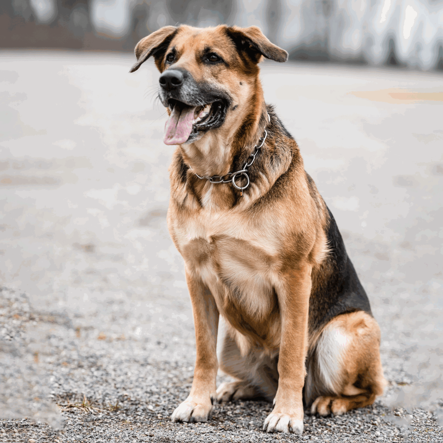 Halskette, stark - Edelstahl Rostfrei, 4,0 mm