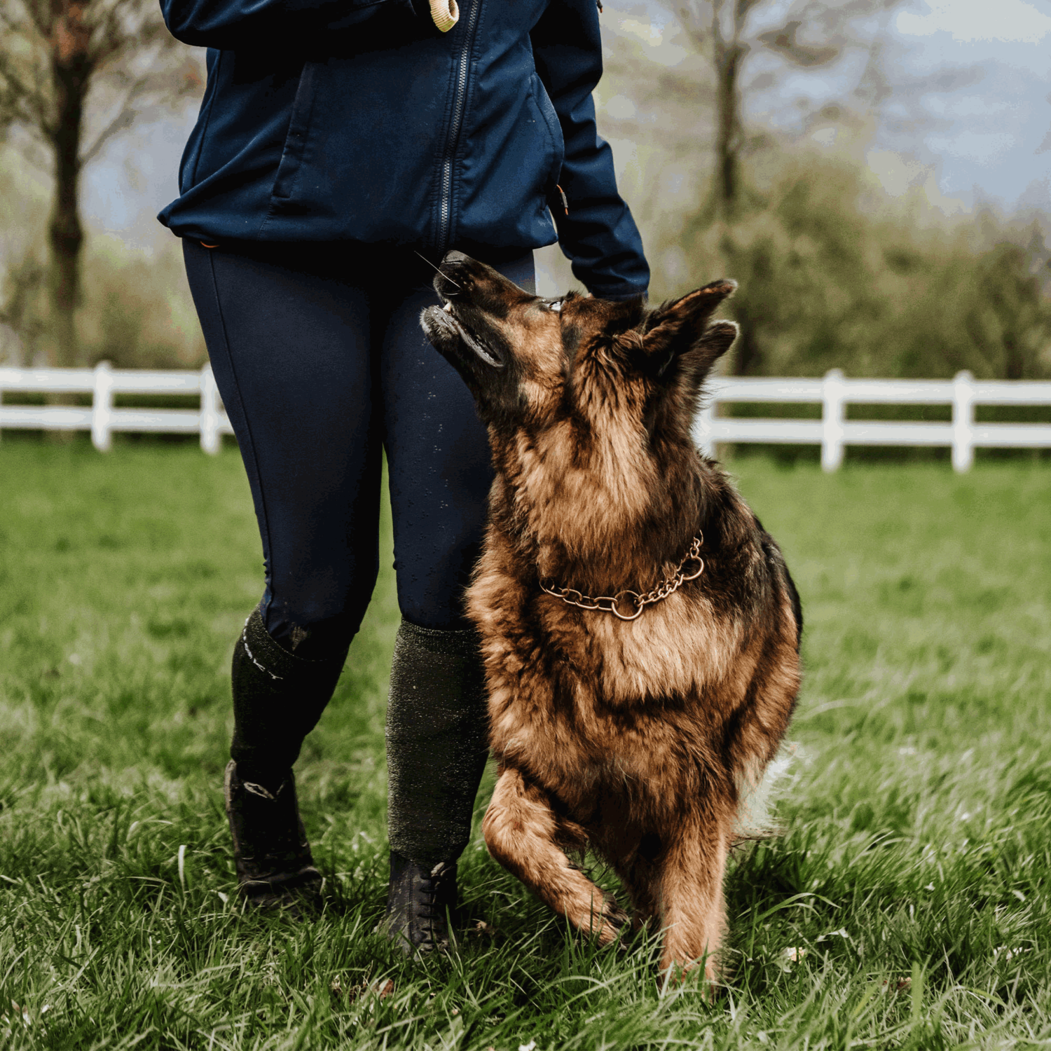Halskette, medium, mit Zugbegrenzung - Curogan, 4,0mm