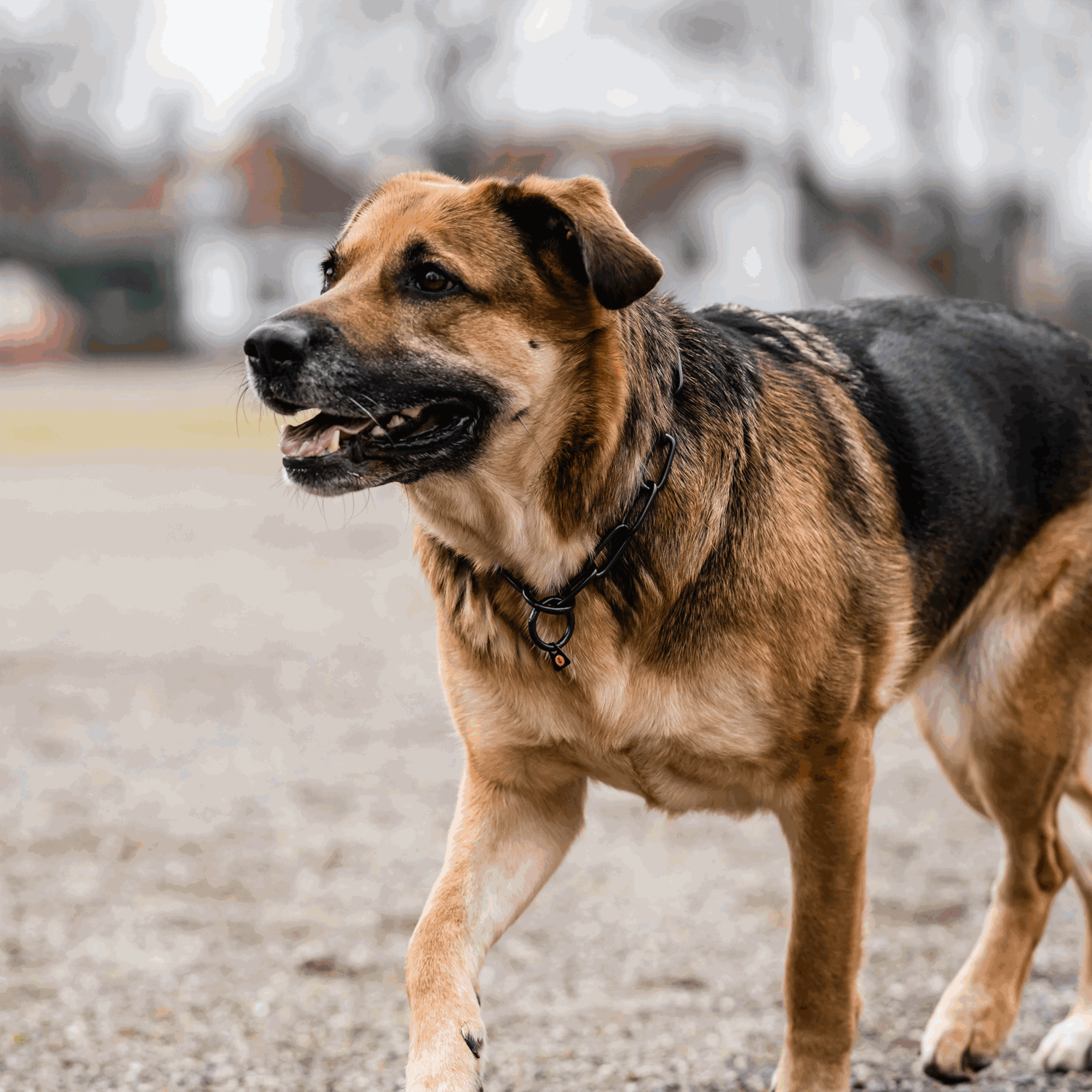 Halskette, langgliedrig - Edelstahl Rostfrei schwarz, 4,0 mm