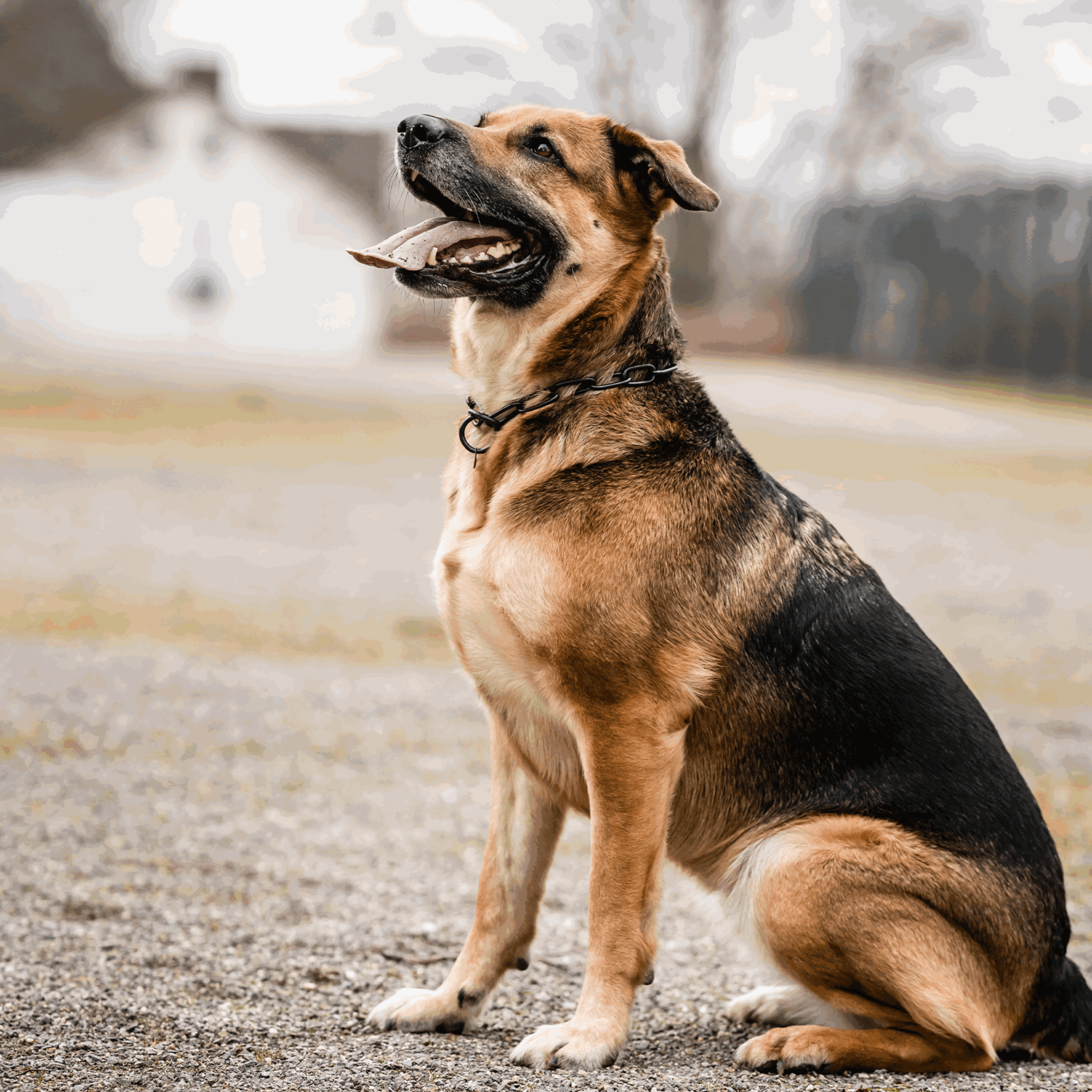 Halskette, langgliedrig - Edelstahl Rostfrei schwarz, 4,0 mm
