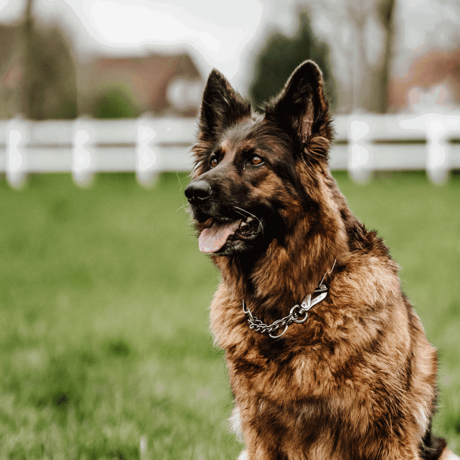 Halskette, verstellbar - mit SPRENGER-Haken - Edelstahl Rostfrei, 4,0 mm