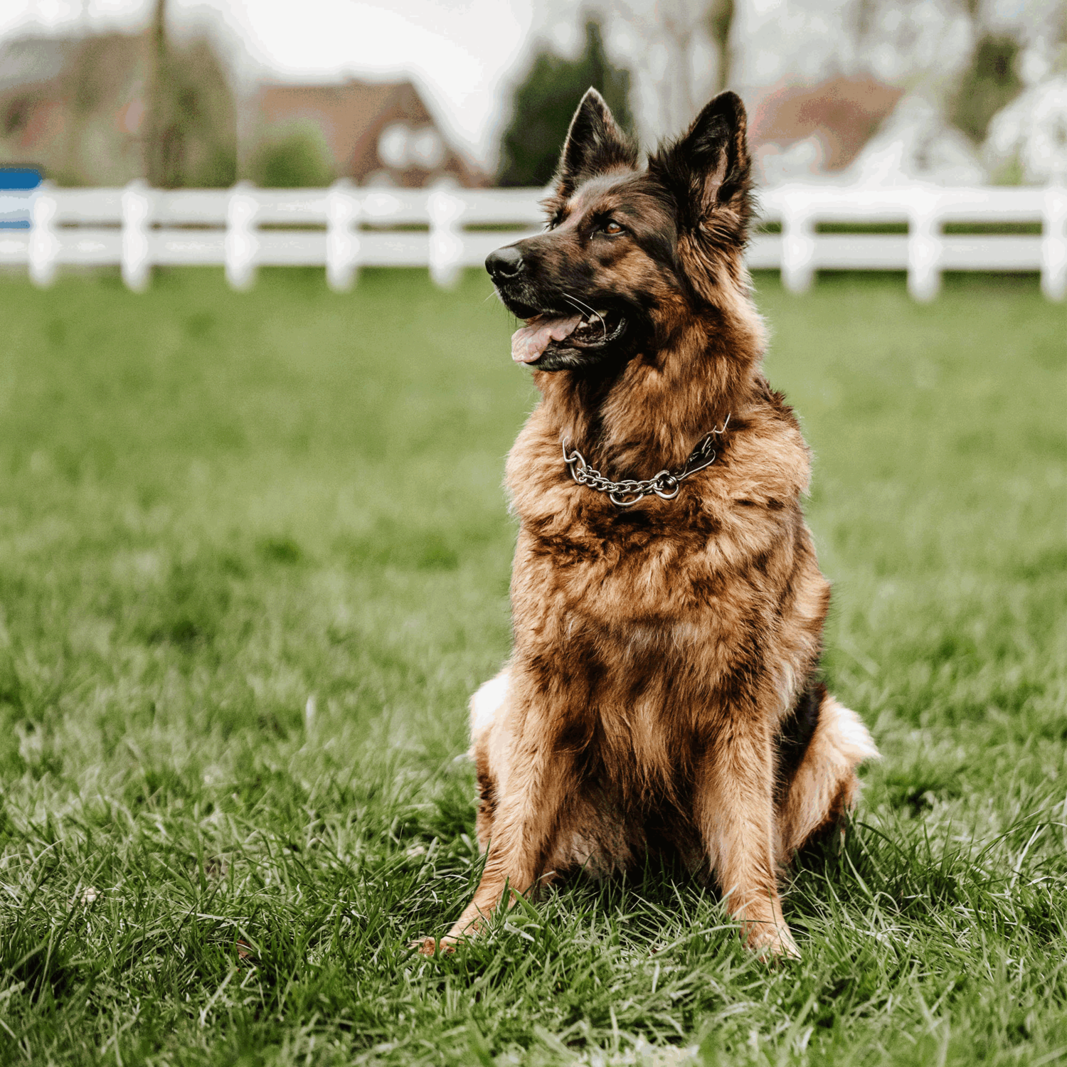Halskette, verstellbar - mit SPRENGER-Haken - Edelstahl Rostfrei, 4,0 mm