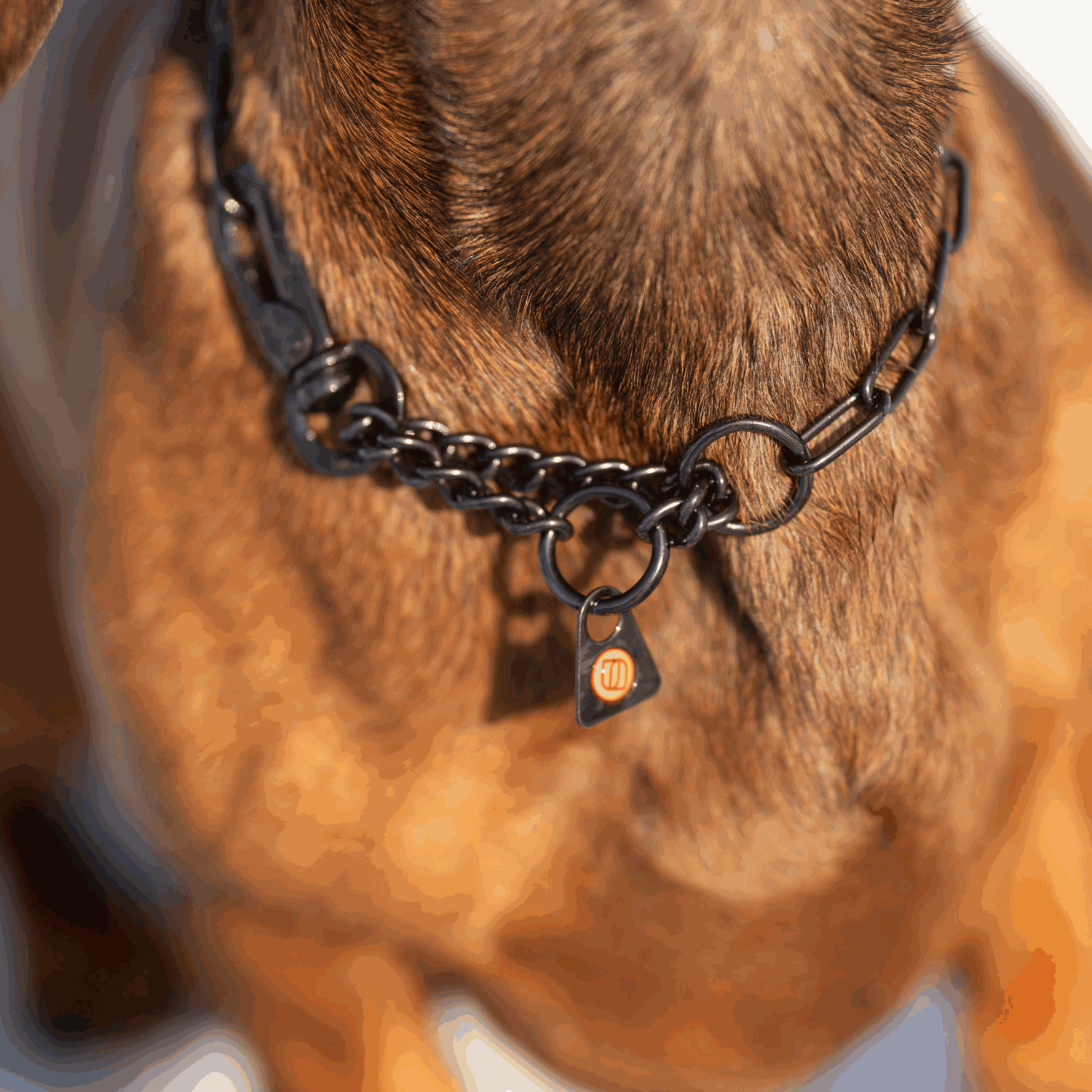 Halskette, verstellbar - mit SPRENGER-Haken - Edelstahl Rostfrei schwarz, 2,0 mm