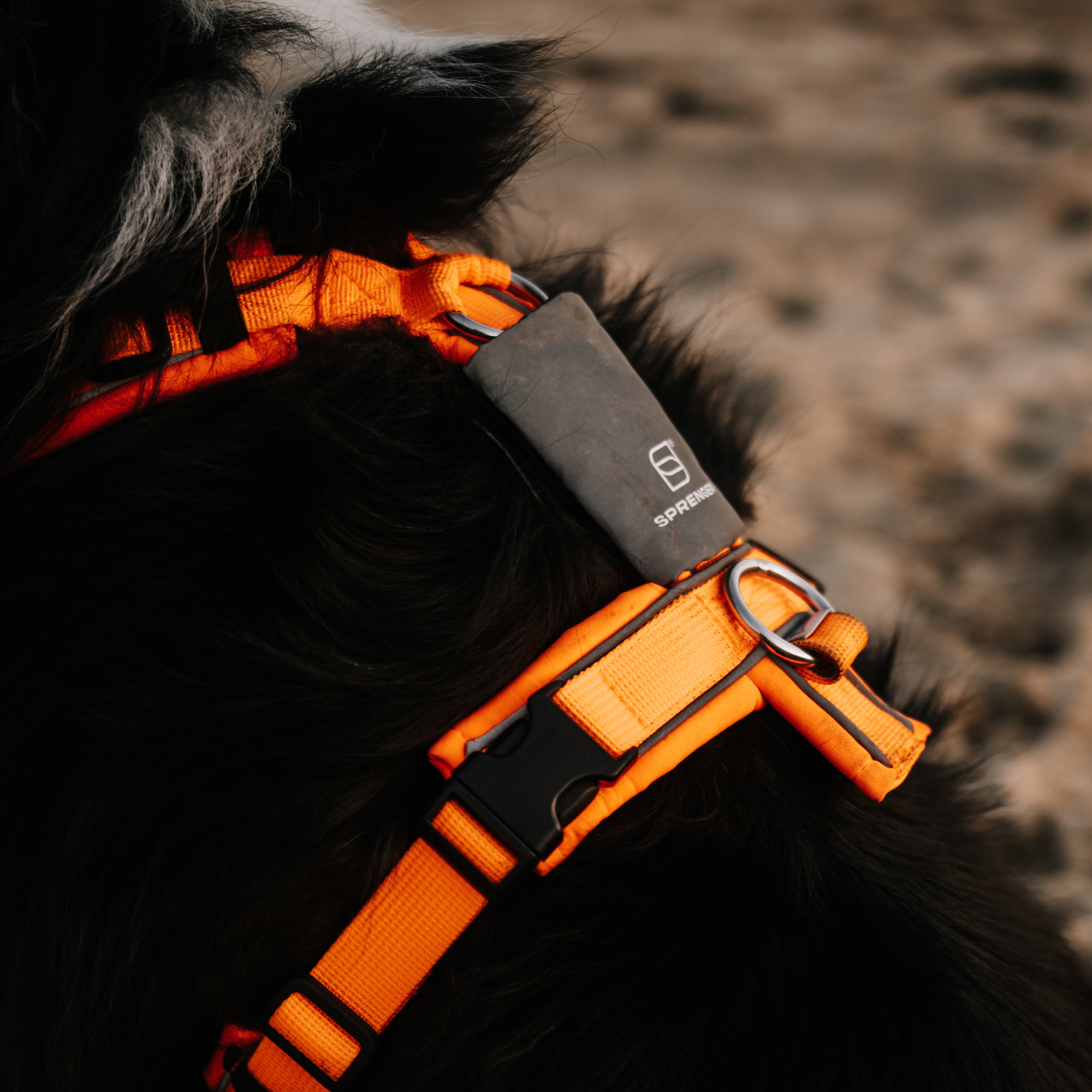 Reflektorpatch Hundegeschirr