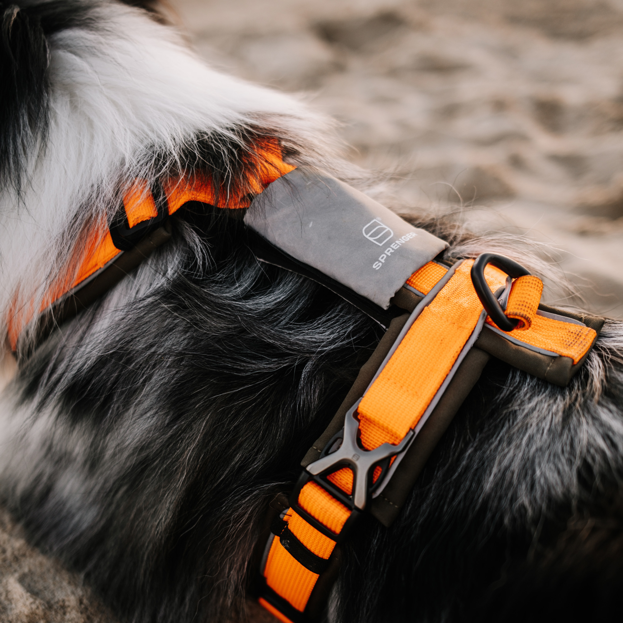 Reflektorpatch Hundegeschirr