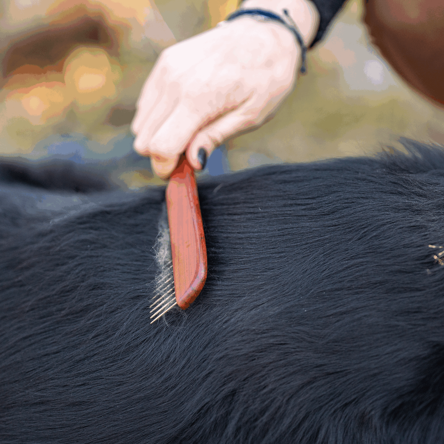 Hundekamm - 30 mm Stahlzinken | 5675000100_4.png | 1700898364