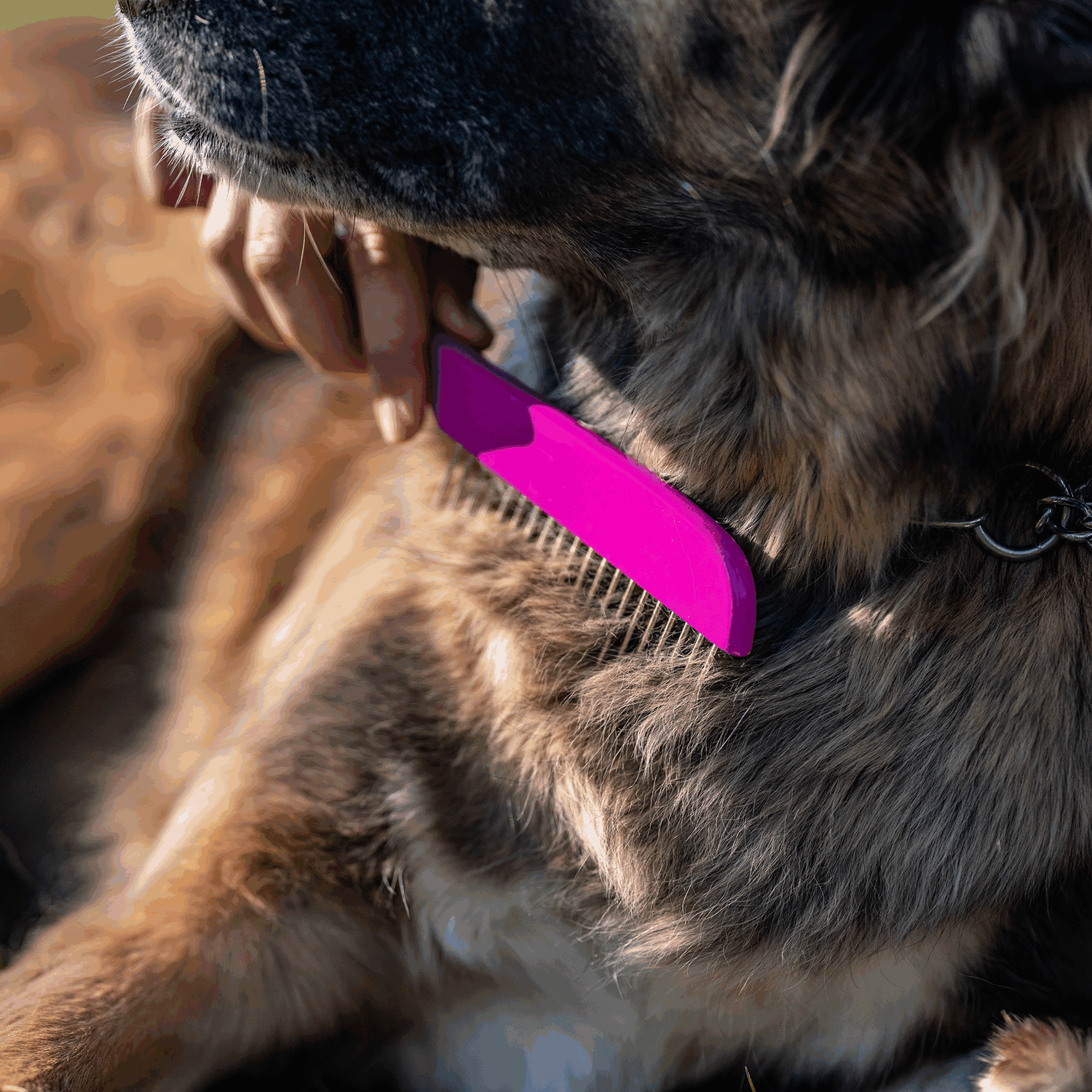 Hundekamm - 230 x 25 mm, 30 mm Stahlzinken - Holz, Pink