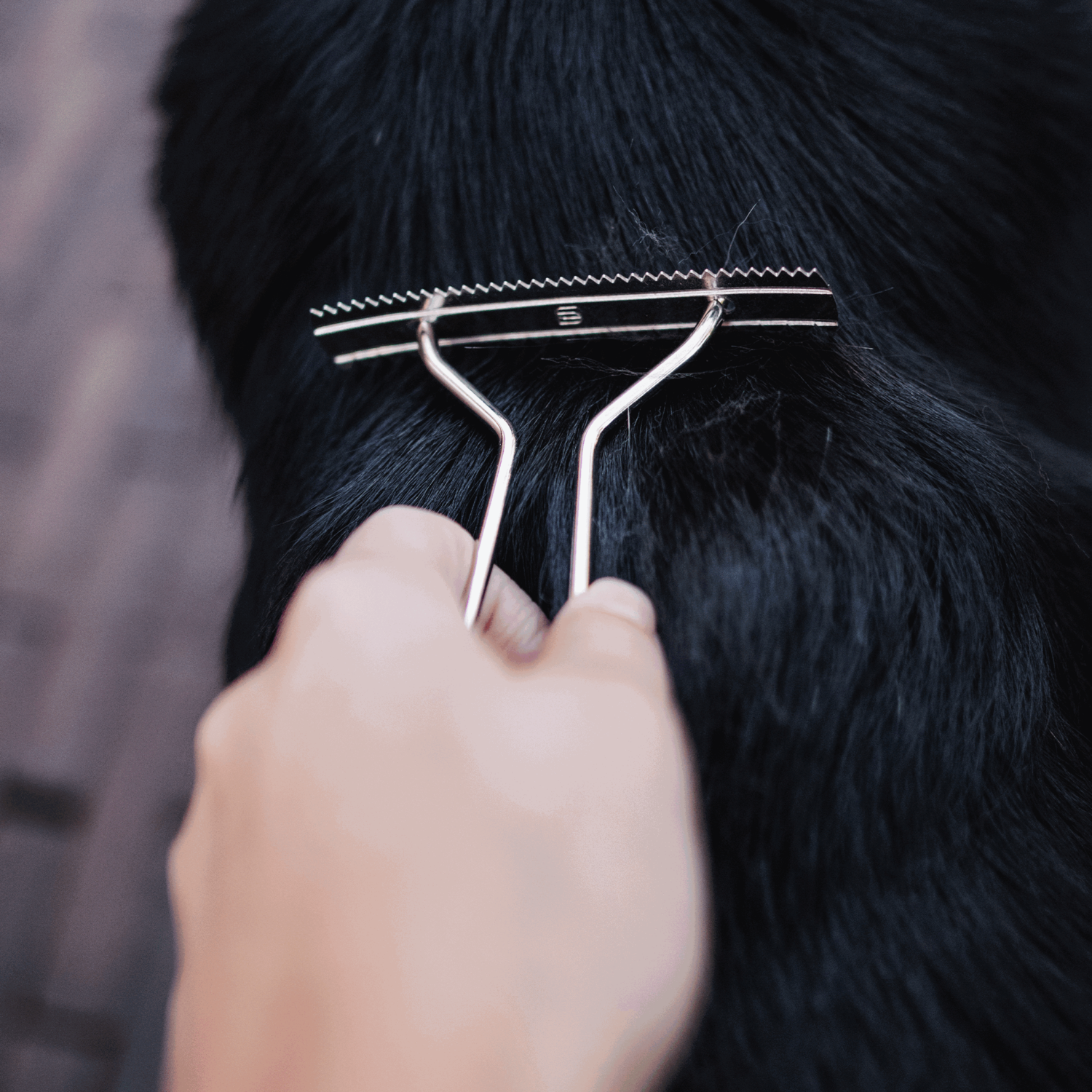 Hundekratzer - Stahl vernickelt | 57020_01_14.png | 1742335588