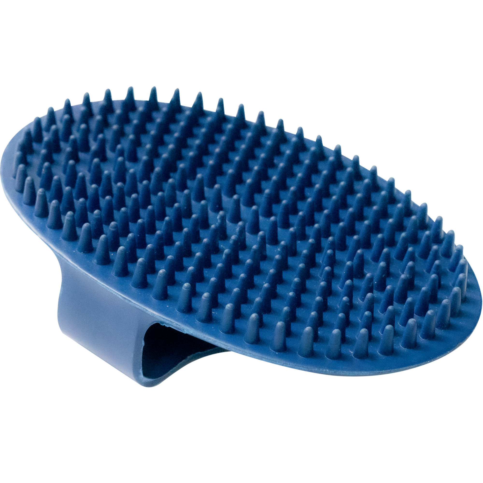 Striegel, oval - Gummi, blau, 150 x 100 mm
