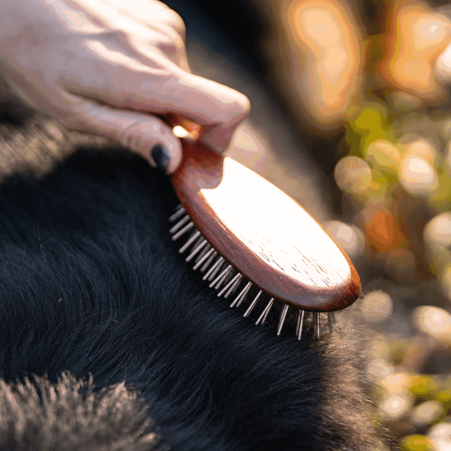 Hundebürste - gestaucht, 20 mm Metallstifte