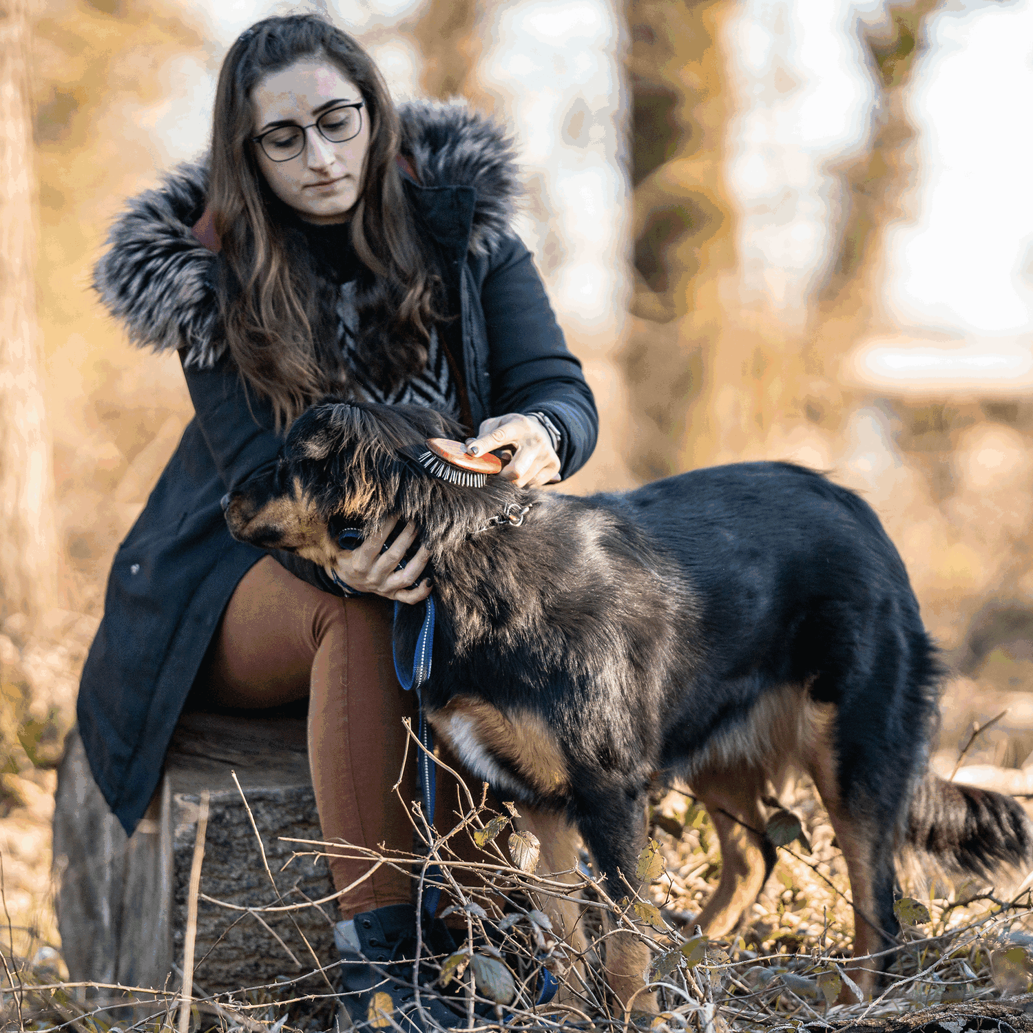 Hundebürste - gestaucht, 20 mm Metallstifte