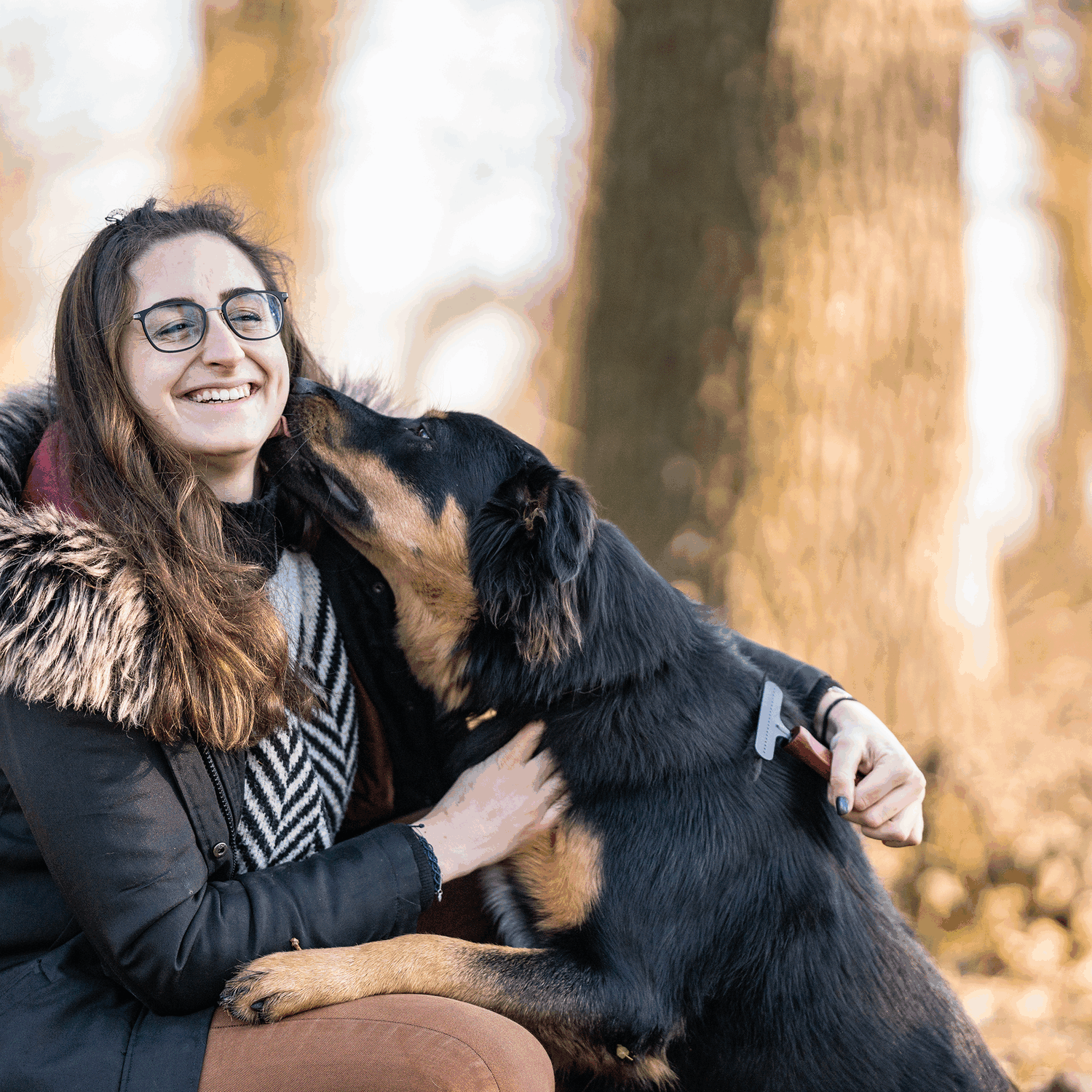 Hundekratzer - Stahl beschichtet, 1-reihig