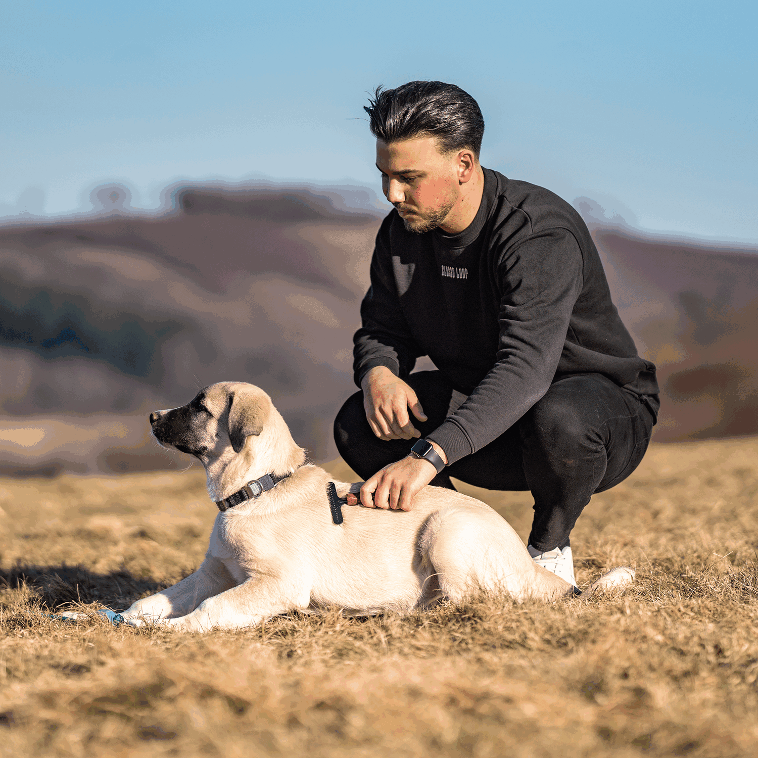 Hundekratzer - Stahl beschichtet, 1-reihig