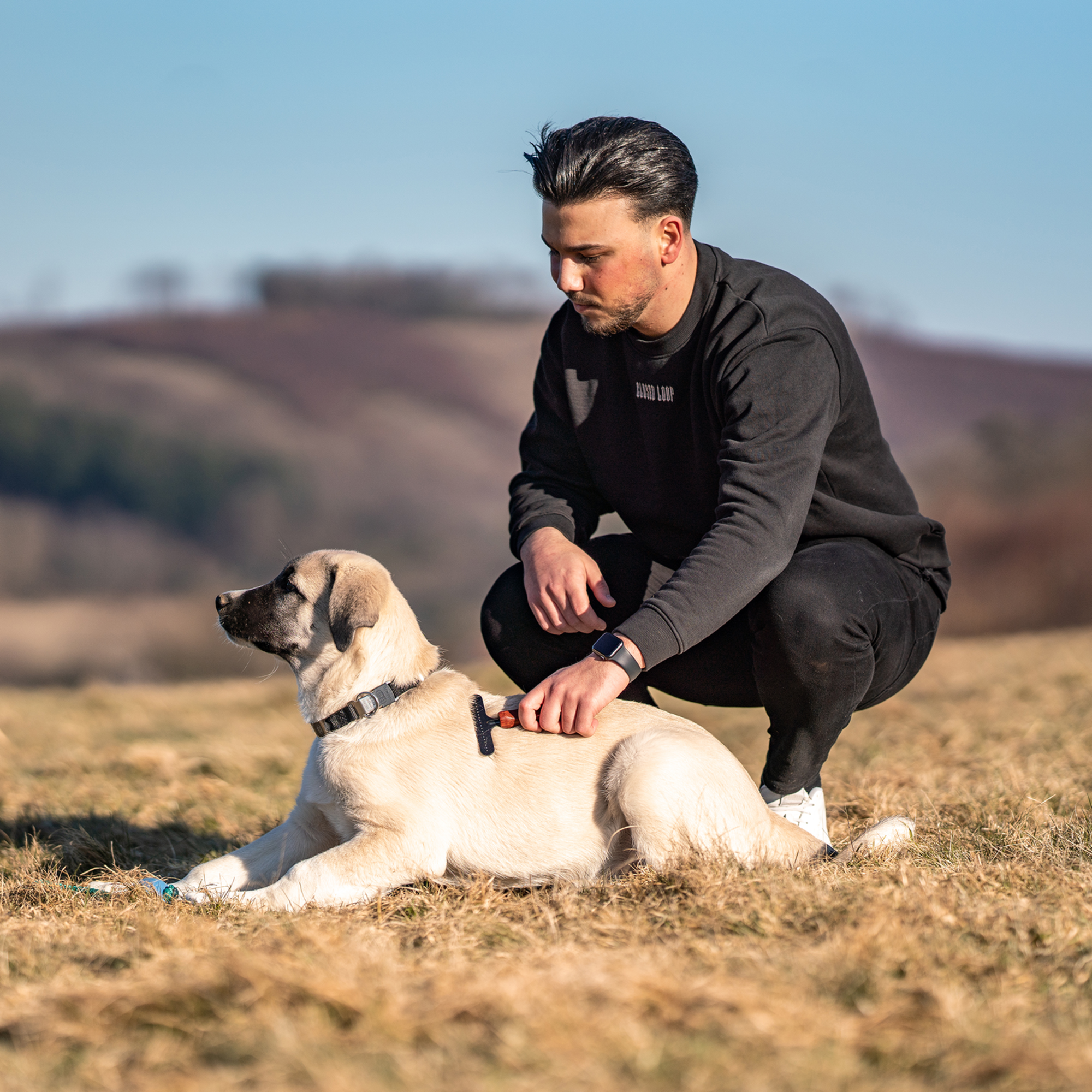 Hundekratzer - Stahl beschichtet, 1-reihig