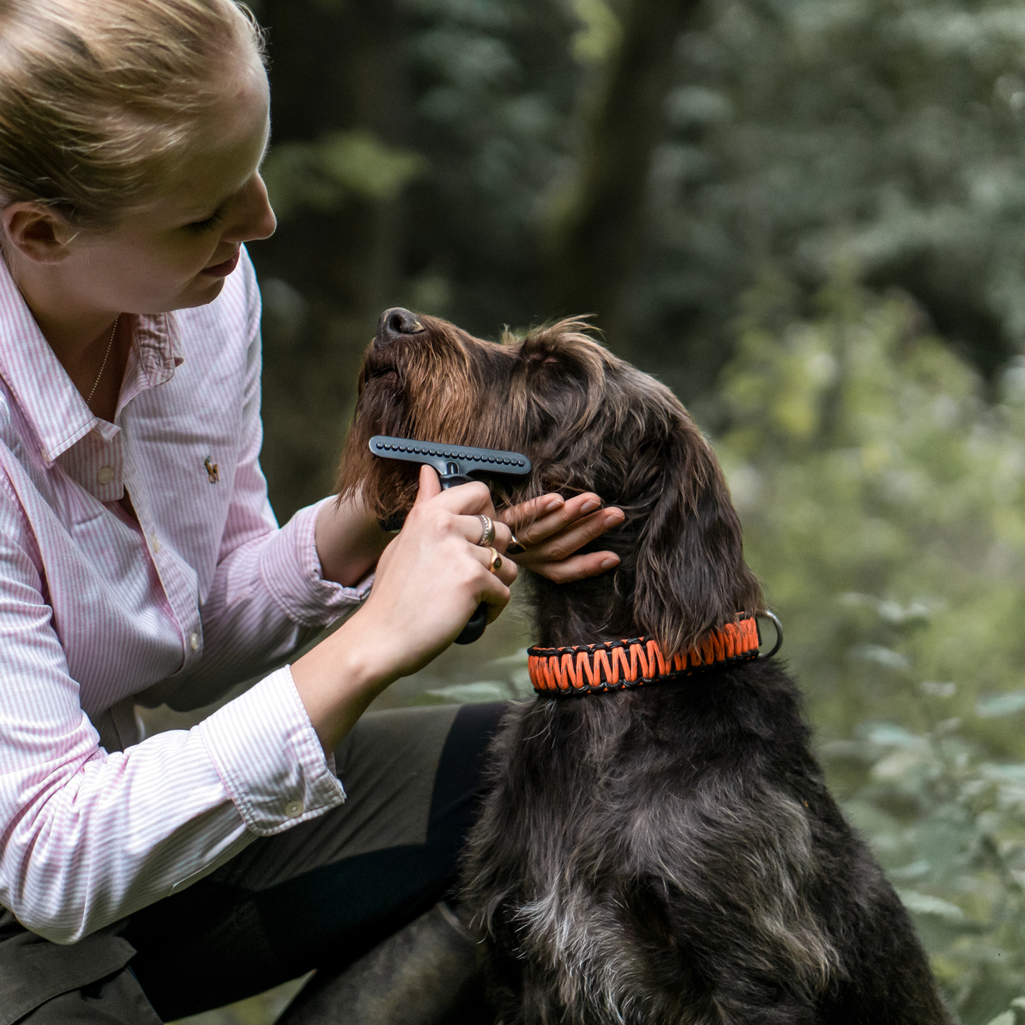 Hundekratzer - Stahl beschichtet, 1-reihig