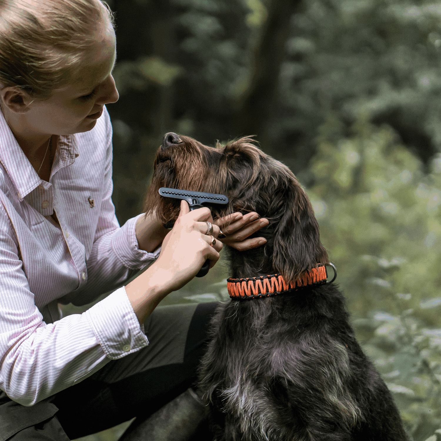 Hundekratzer - Stahl beschichtet, 1-reihig